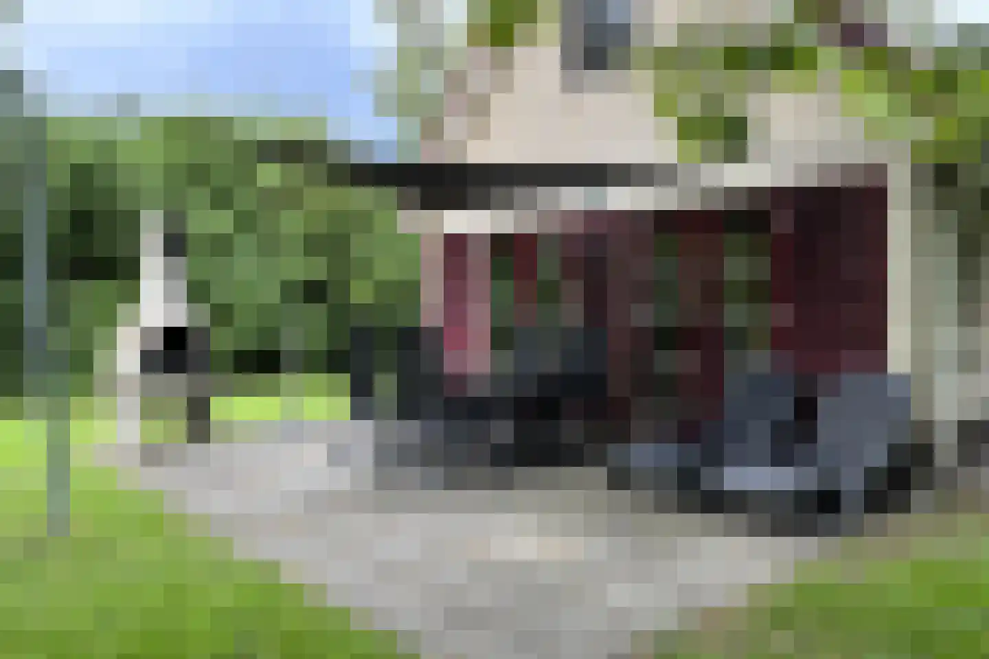 Sandurdreef 5 250 Emmen thumbnail 4