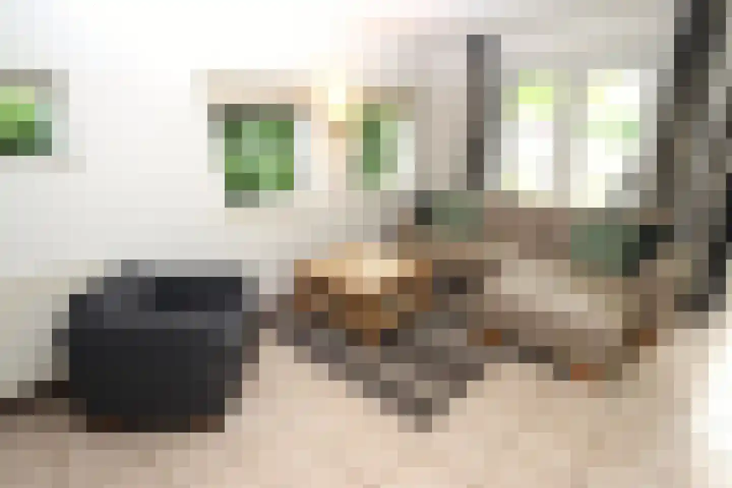 Sandurdreef 5 250 Emmen thumbnail 7