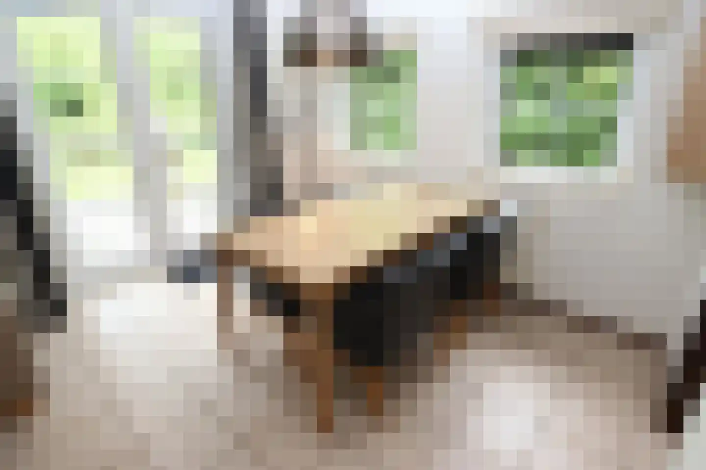 Sandurdreef 5 250 Emmen thumbnail 9