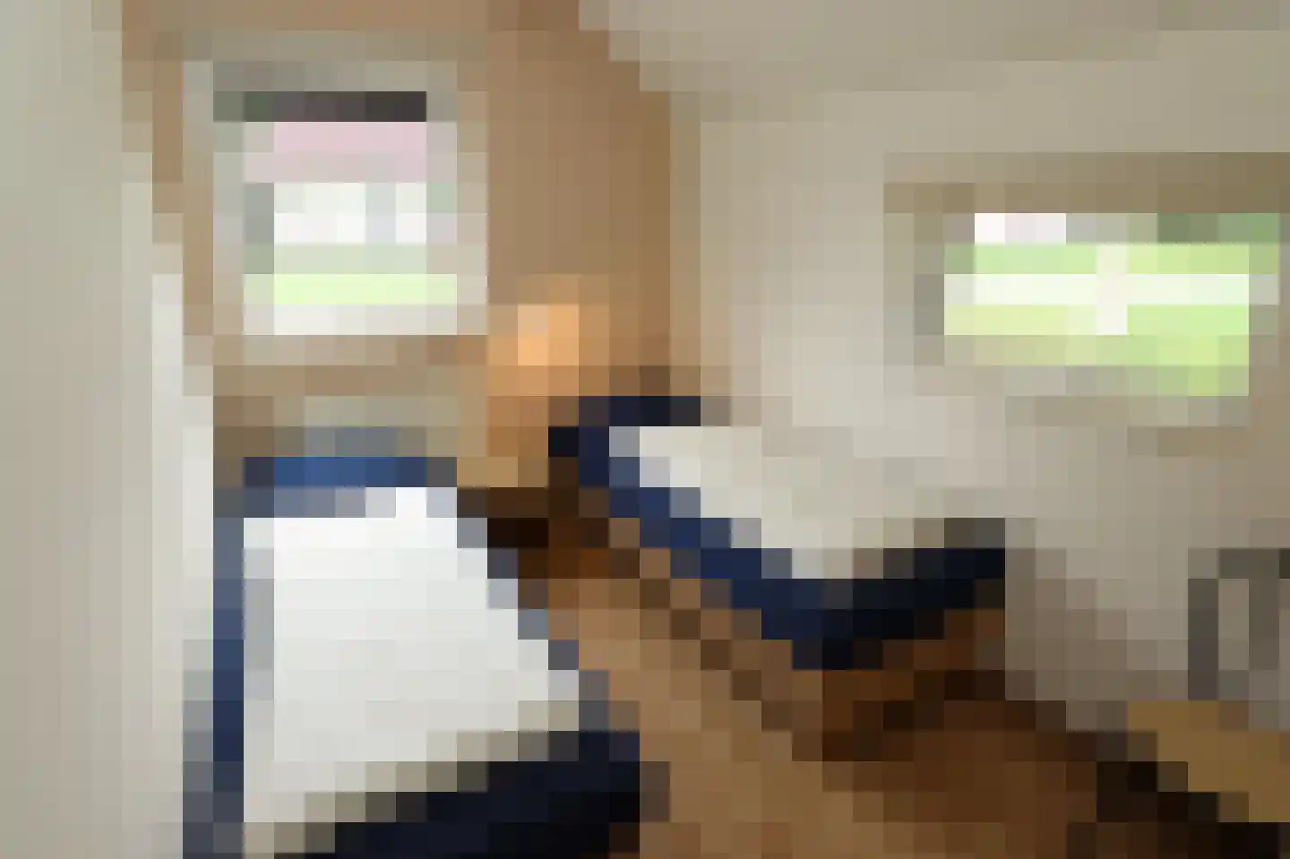 Sandurdreef 5 264 Emmen thumbnail 12