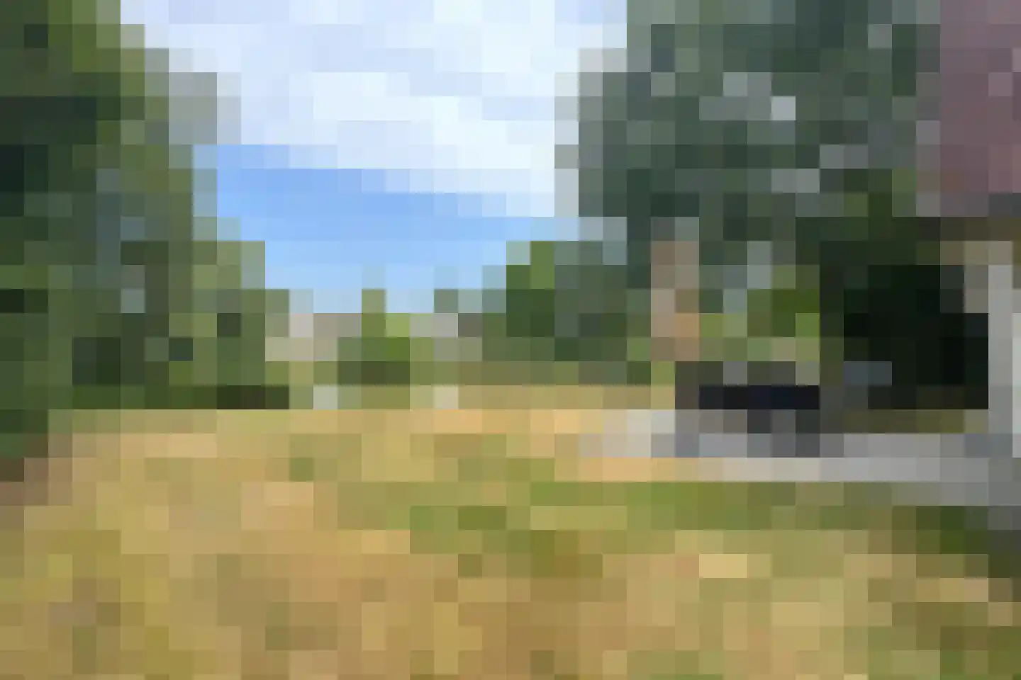 Sandurdreef 5 264 Emmen thumbnail 5