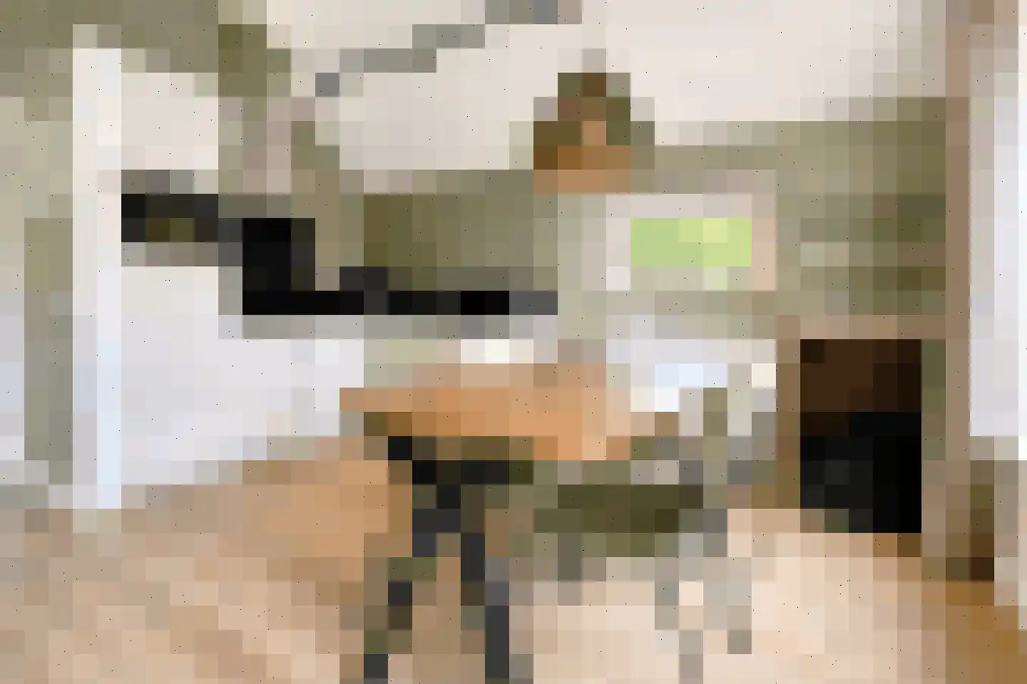 Sandurdreef 5 264 Emmen thumbnail 8
