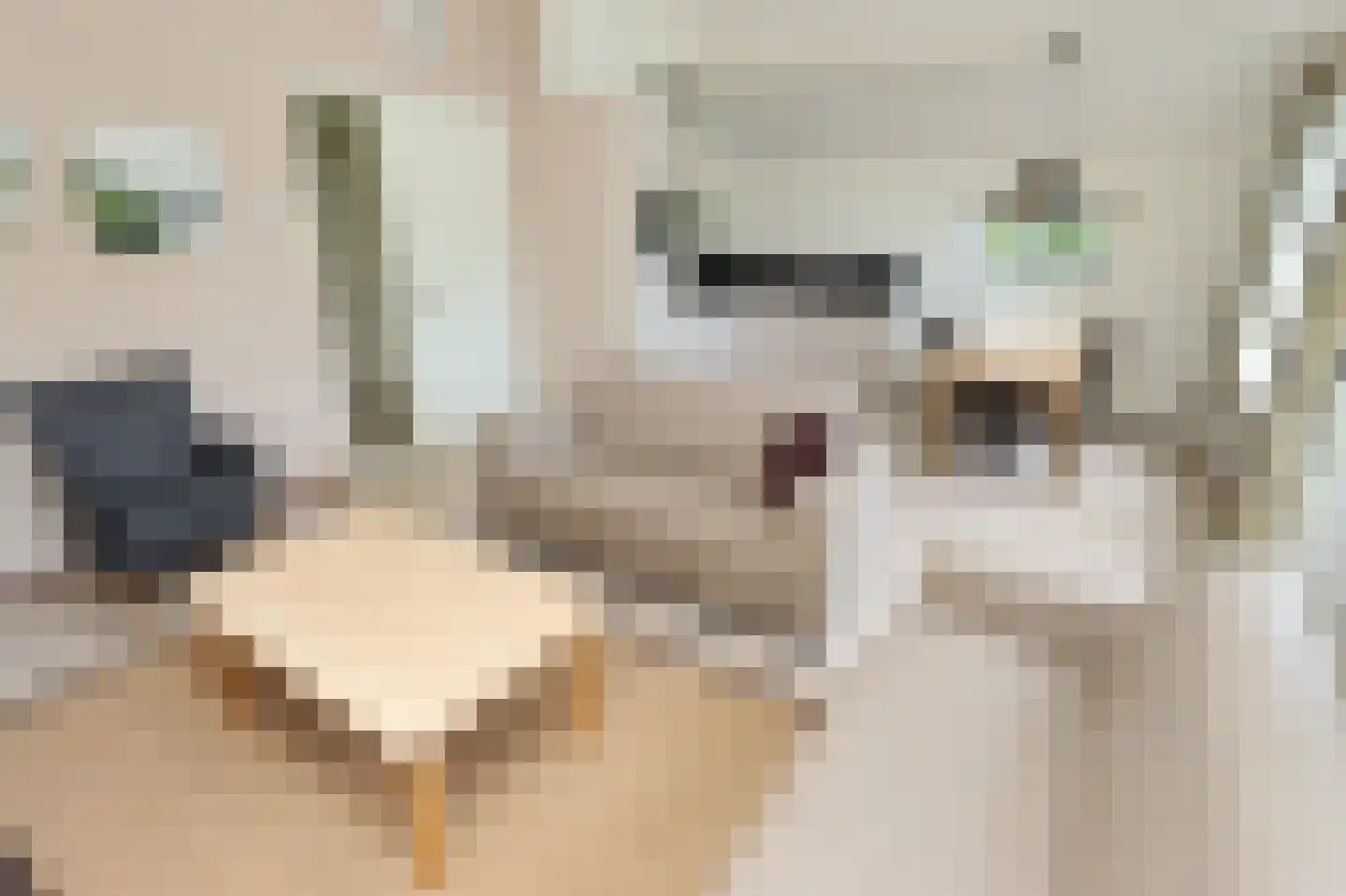 Sandurdreef 5 264 Emmen thumbnail 8