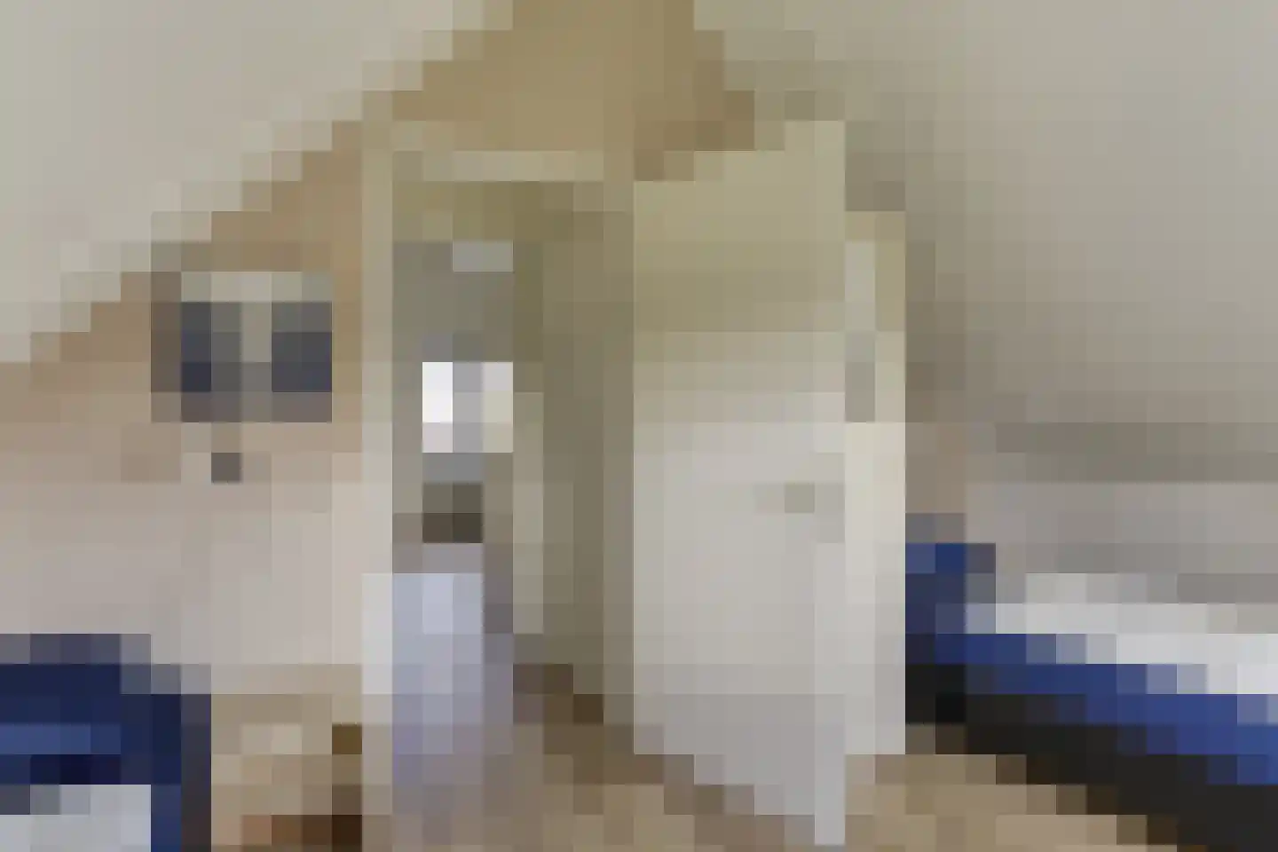 Sandurdreef 5 266 Emmen thumbnail 15