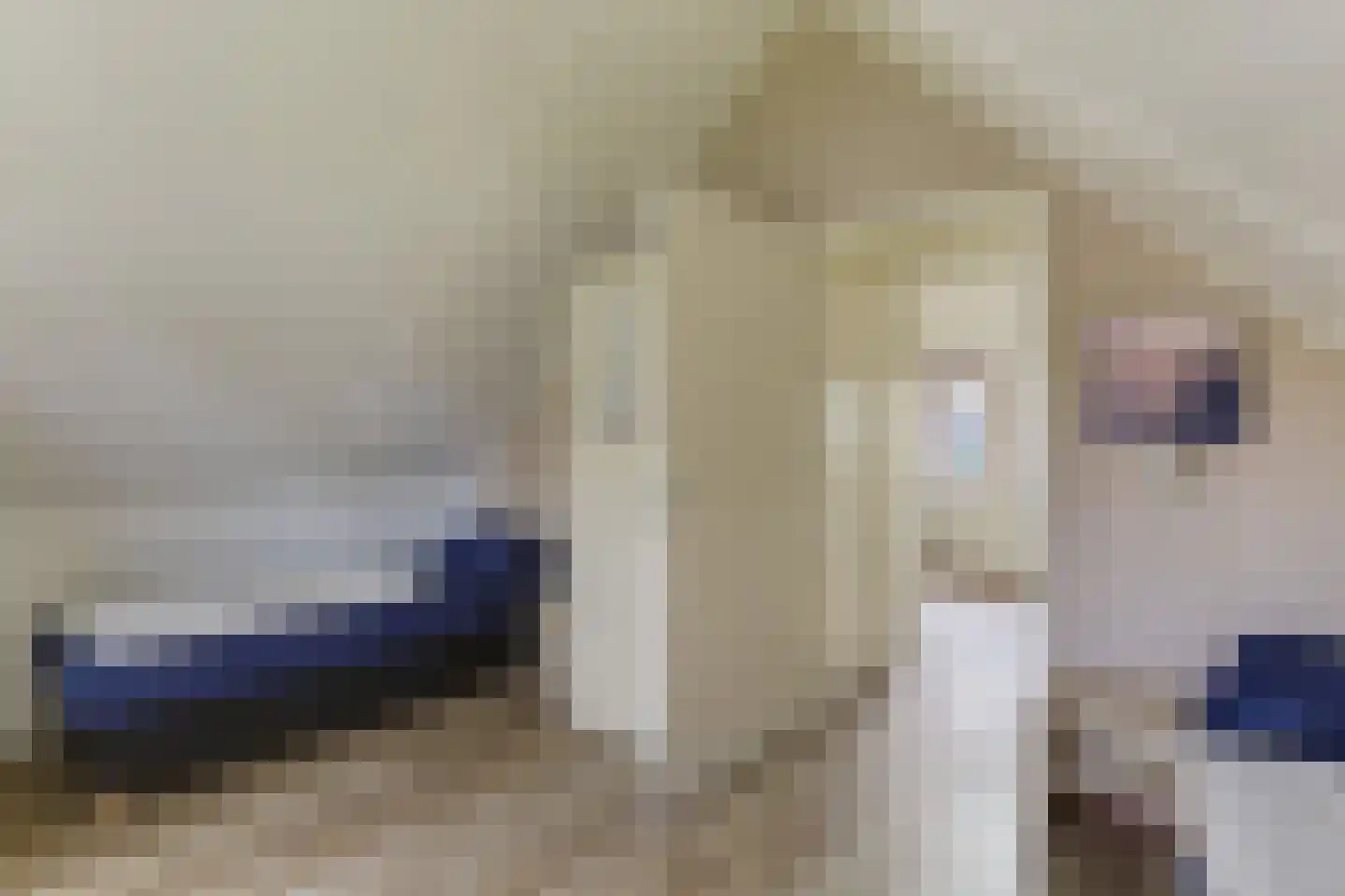 Sandurdreef 5 266 Emmen thumbnail 16