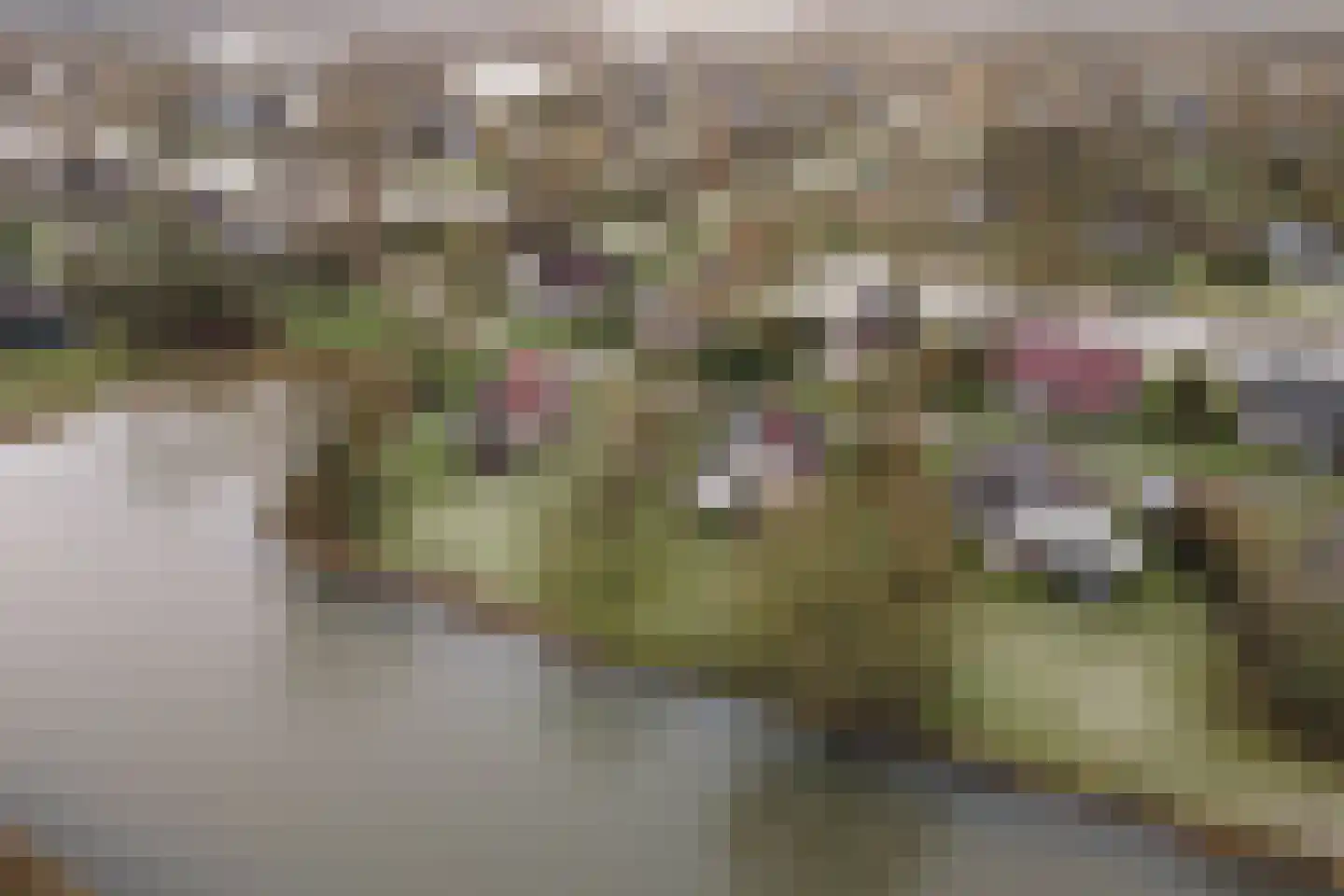 Sandurdreef 5 266 Emmen thumbnail 21