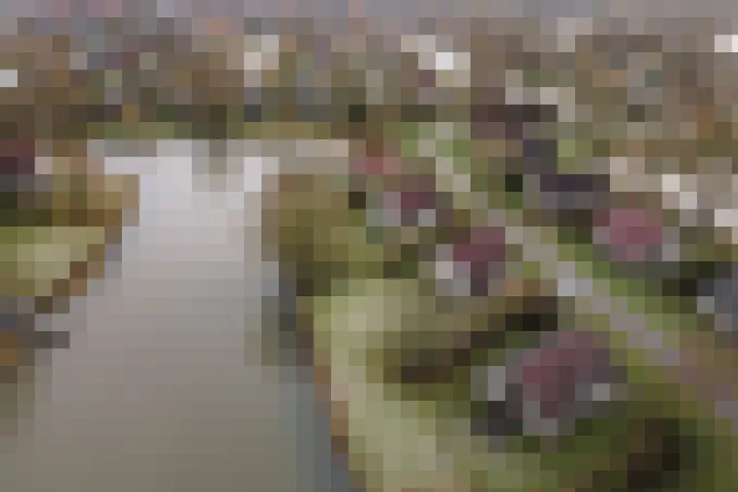 Sandurdreef 5 266 Emmen thumbnail 22