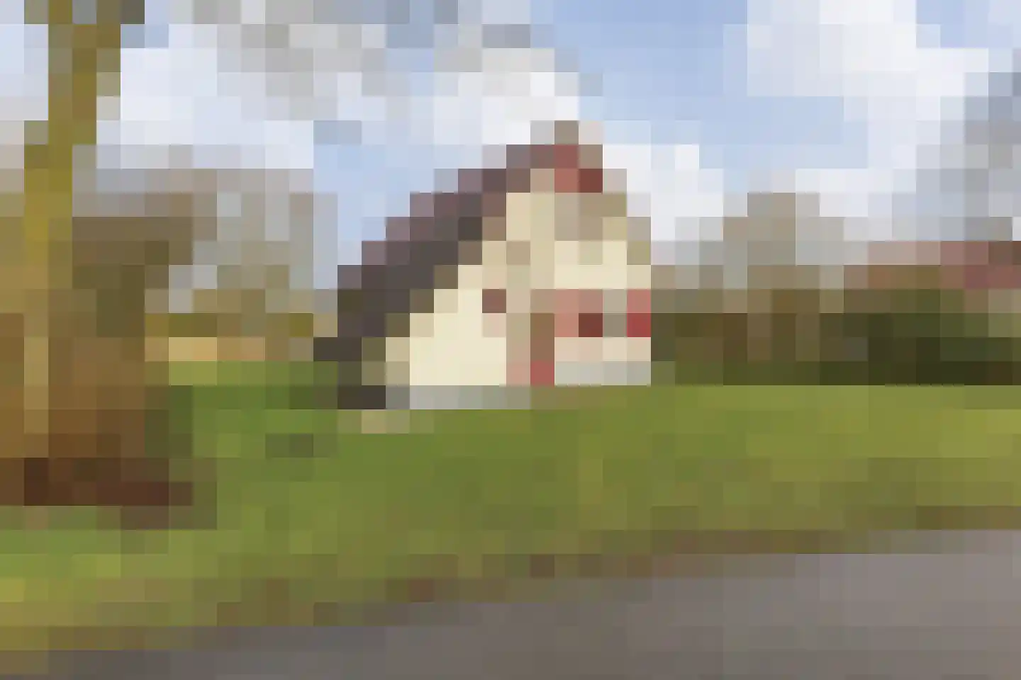 Sandurdreef 5 266 Emmen thumbnail 4