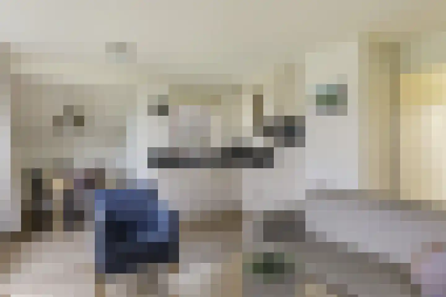 Sandurdreef 5 266 Emmen thumbnail 7