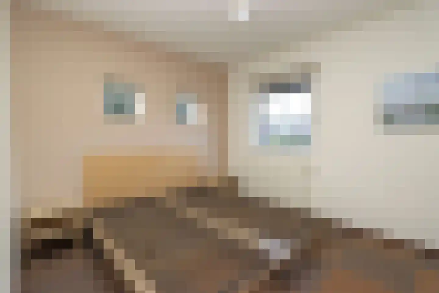 Sandurdreef 5 269 Emmen thumbnail 10