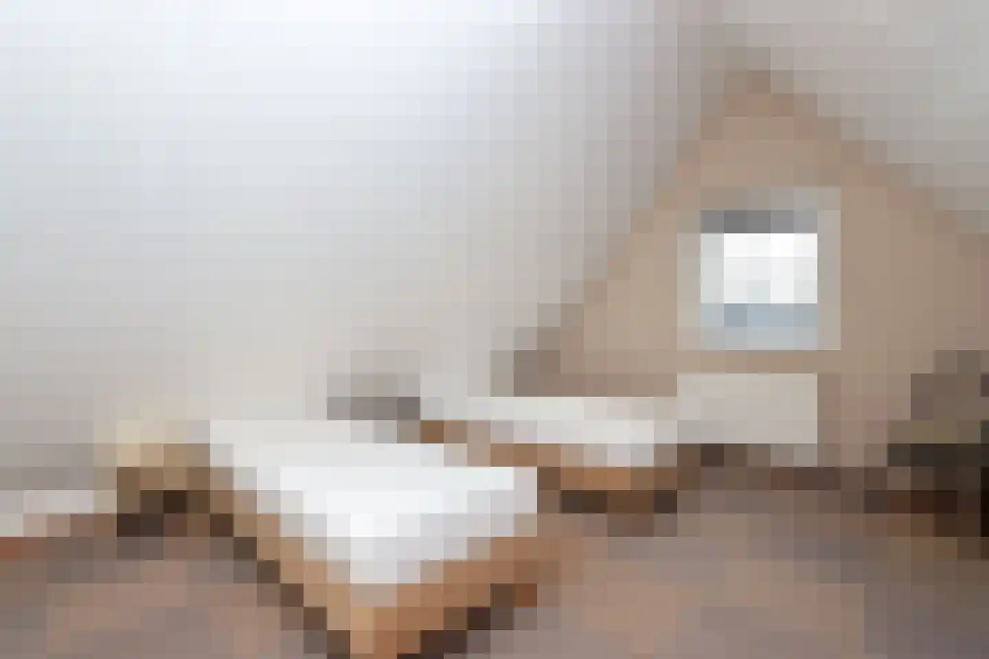 Sandurdreef 5 269 Emmen thumbnail 16