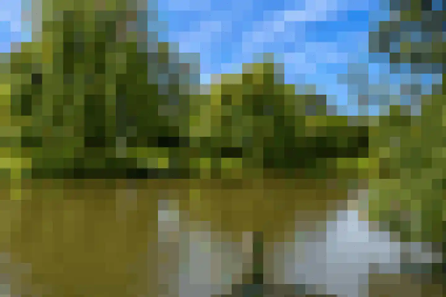Sandurdreef 5 269 Emmen thumbnail 5