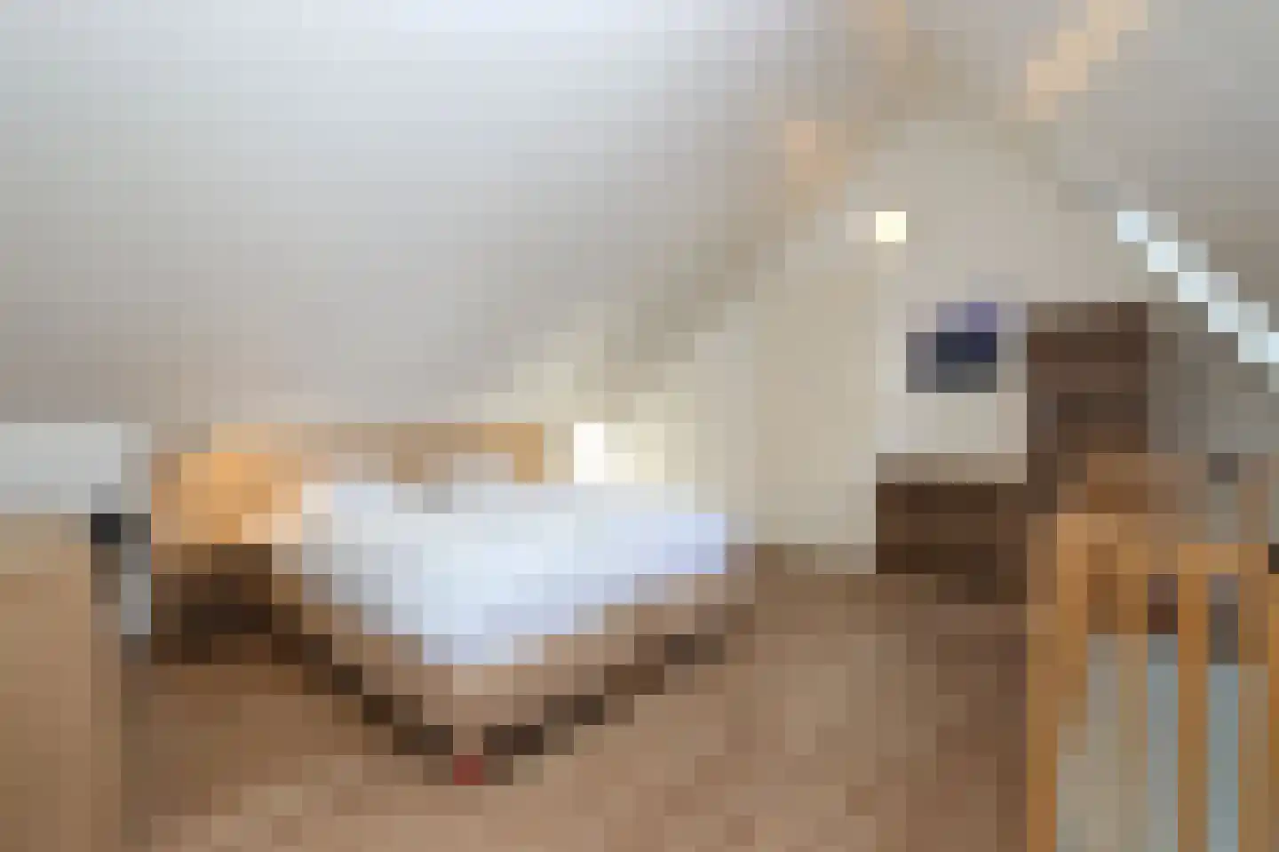 Sandurdreef 5 273 Emmen thumbnail 12