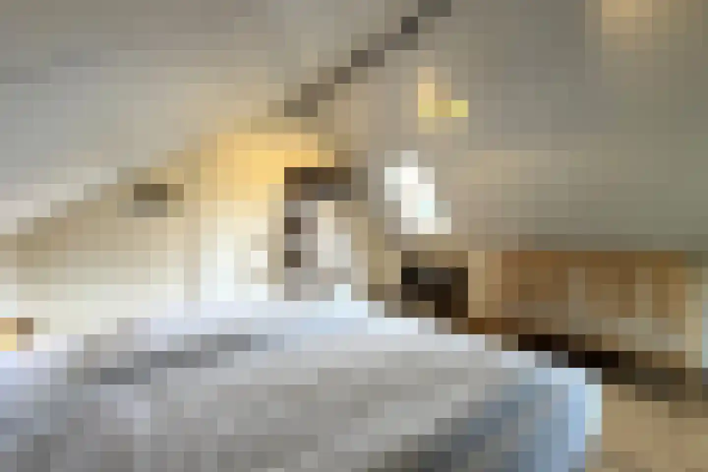Sandurdreef 5 273 Emmen thumbnail 17