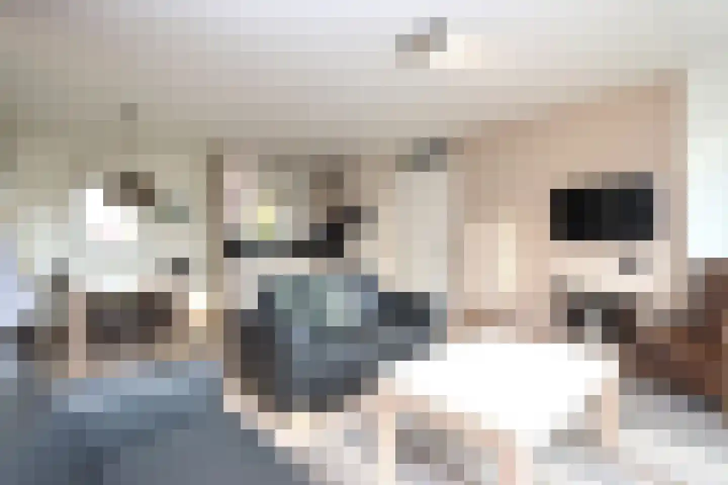 Sandurdreef 5 273 Emmen thumbnail 6