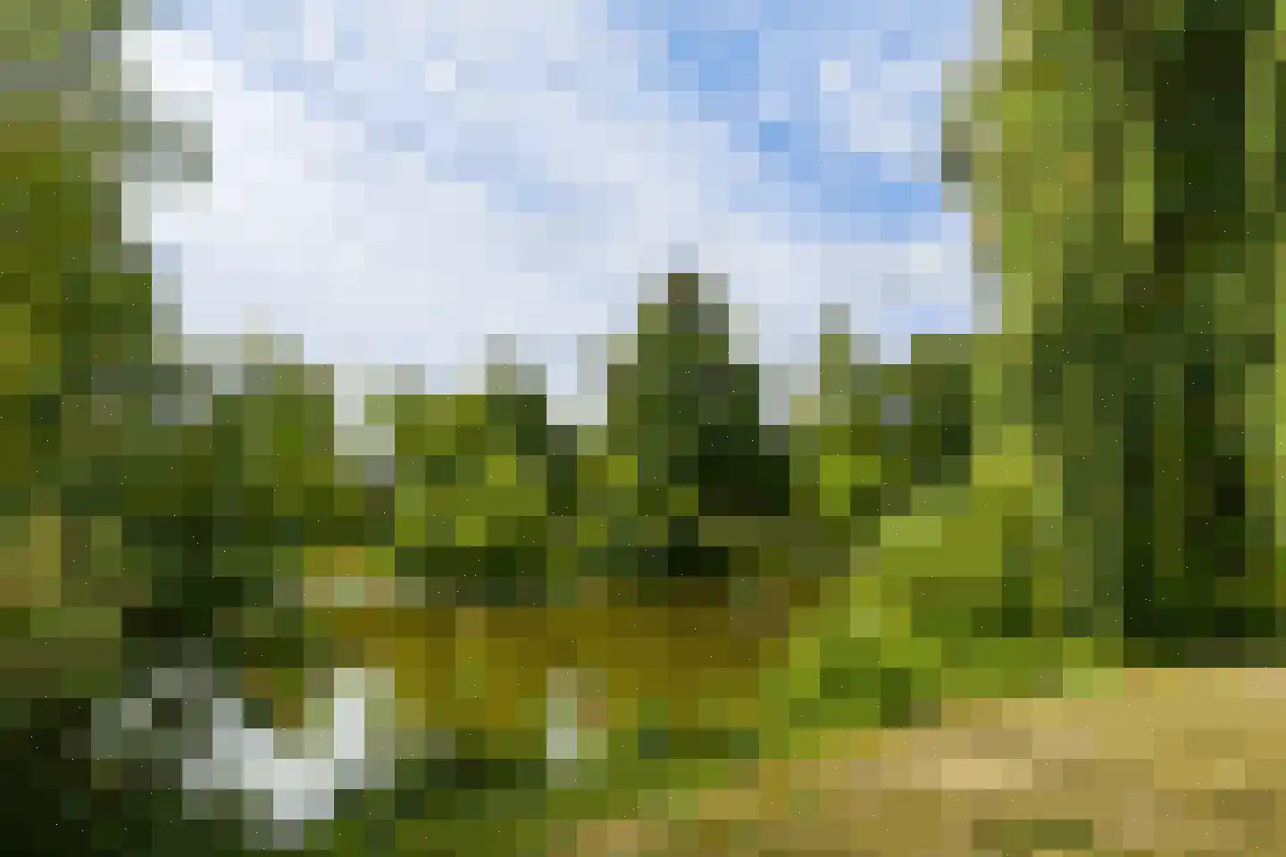 Sandurdreef 5 273 Emmen thumbnail 6