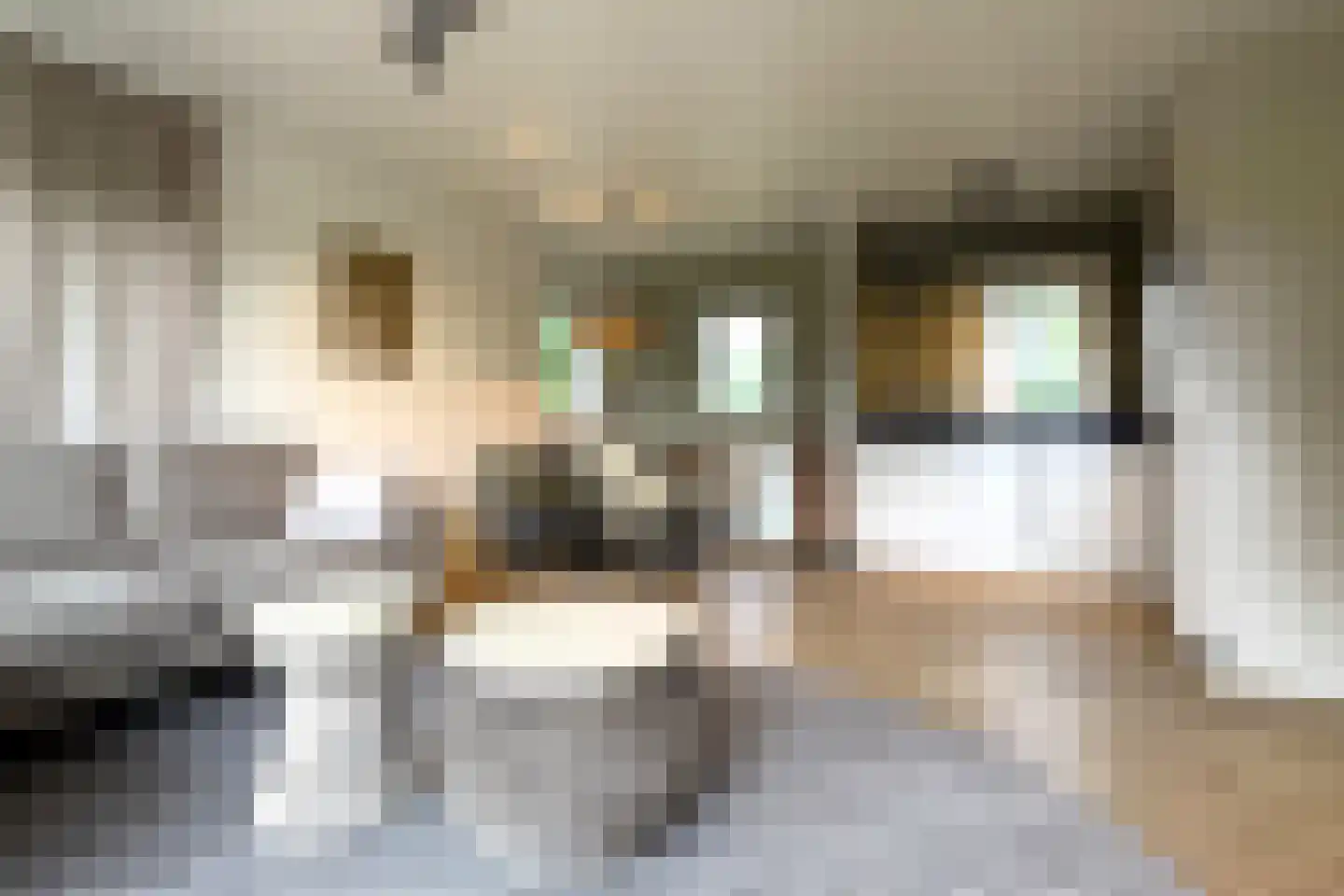 Sandurdreef 5 273 Emmen thumbnail 8