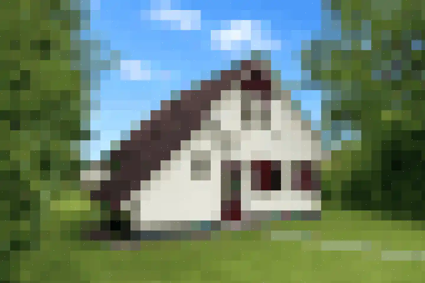 Sandurdreef 5 281 Emmen thumbnail 4