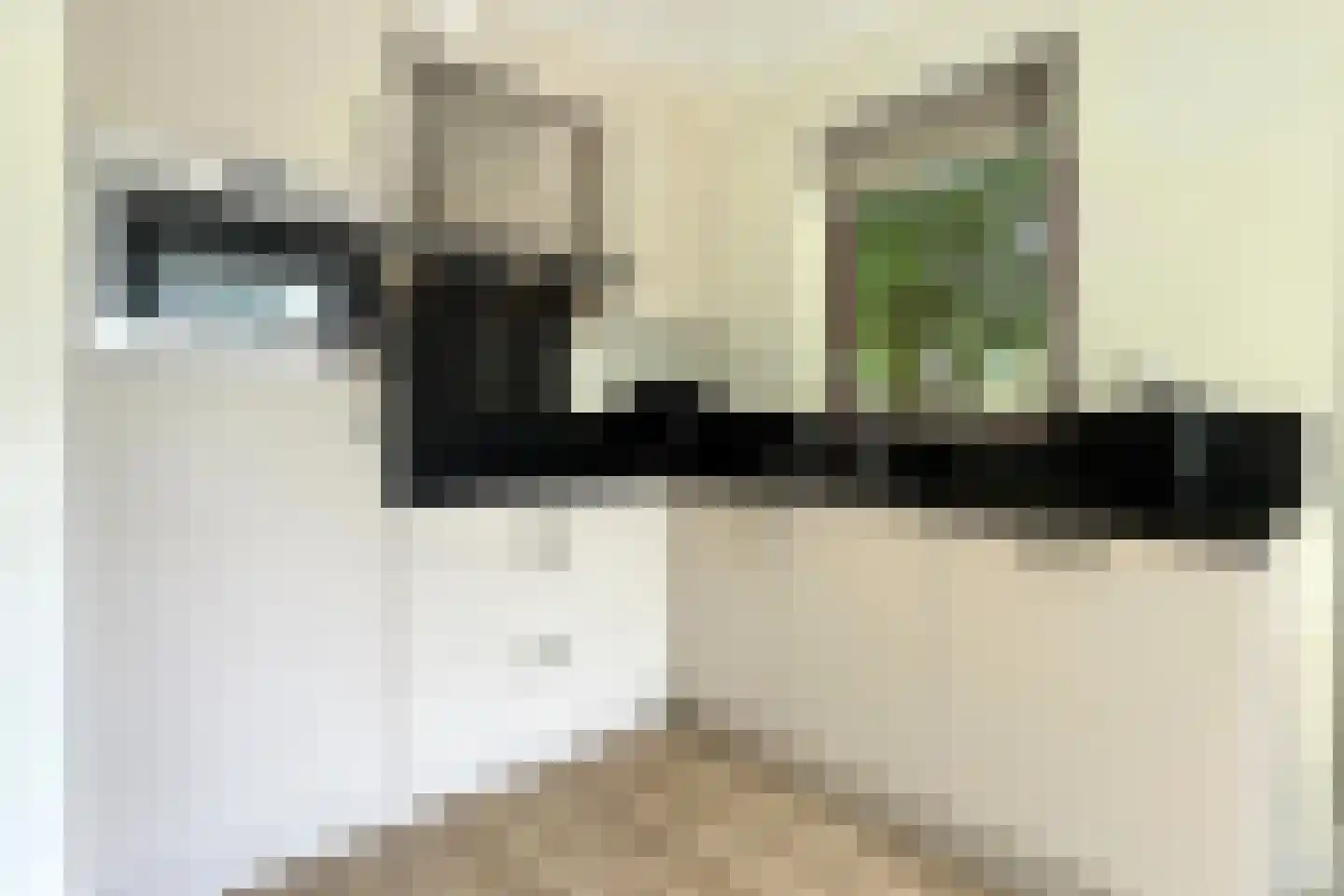 Sandurdreef 5 290 Emmen thumbnail 10