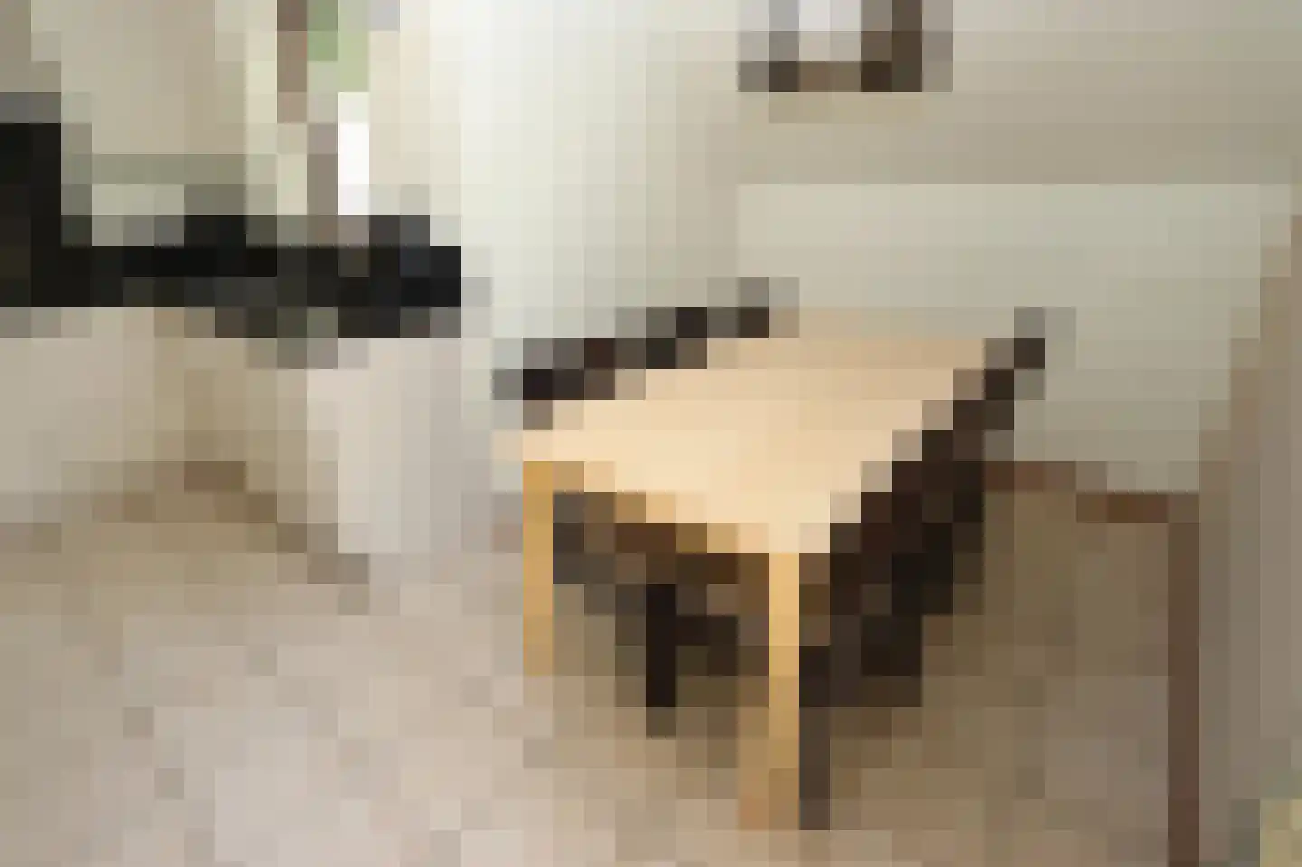 Sandurdreef 5 290 Emmen thumbnail 11