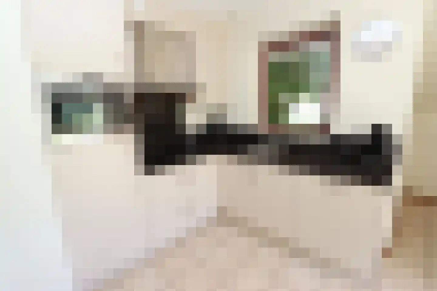 Sandurdreef 5 290 Emmen thumbnail 12