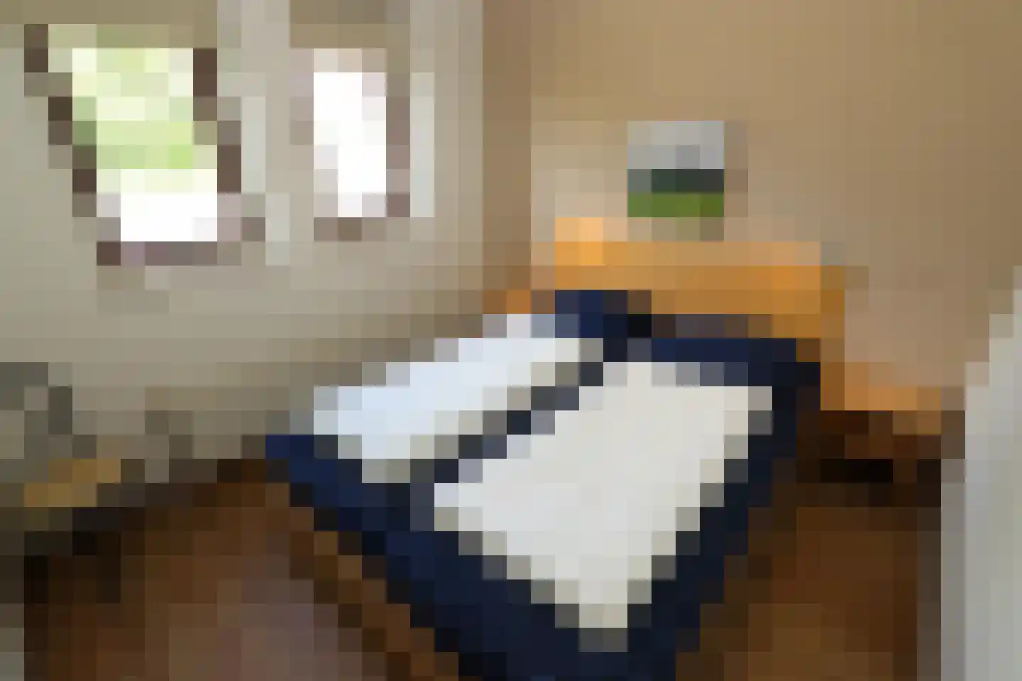 Sandurdreef 5 290 Emmen thumbnail 13