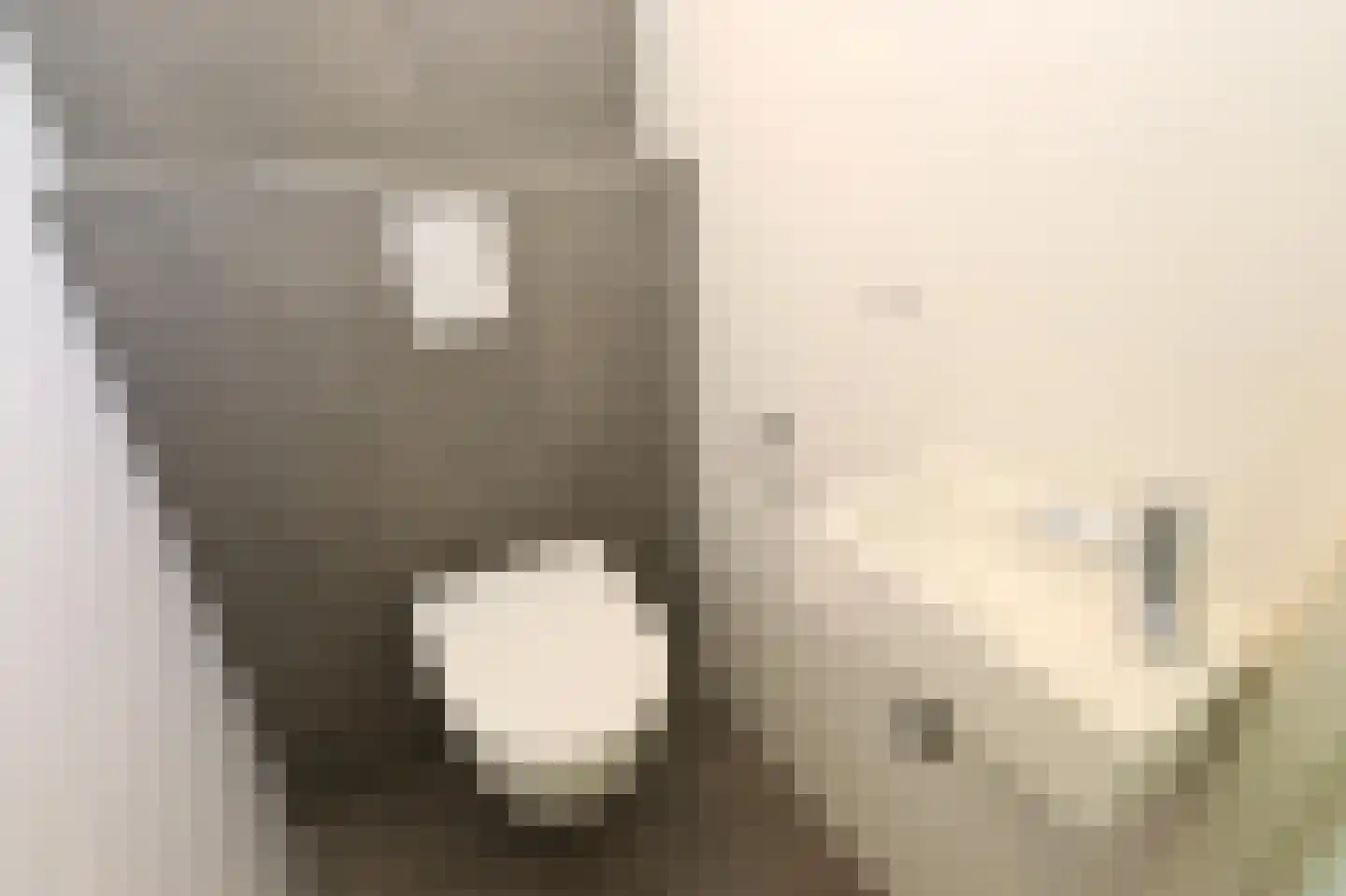 Sandurdreef 5 290 Emmen thumbnail 15