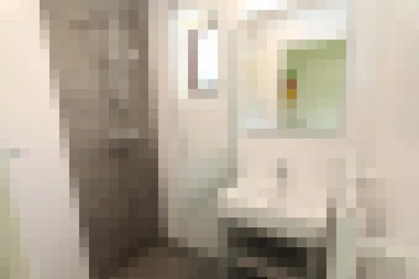 Sandurdreef 5 290 Emmen thumbnail 16