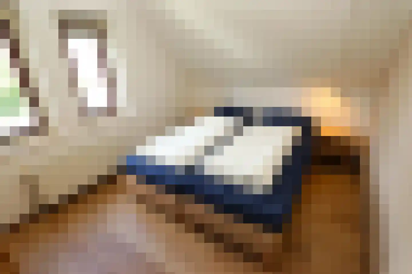 Sandurdreef 5 290 Emmen thumbnail 17