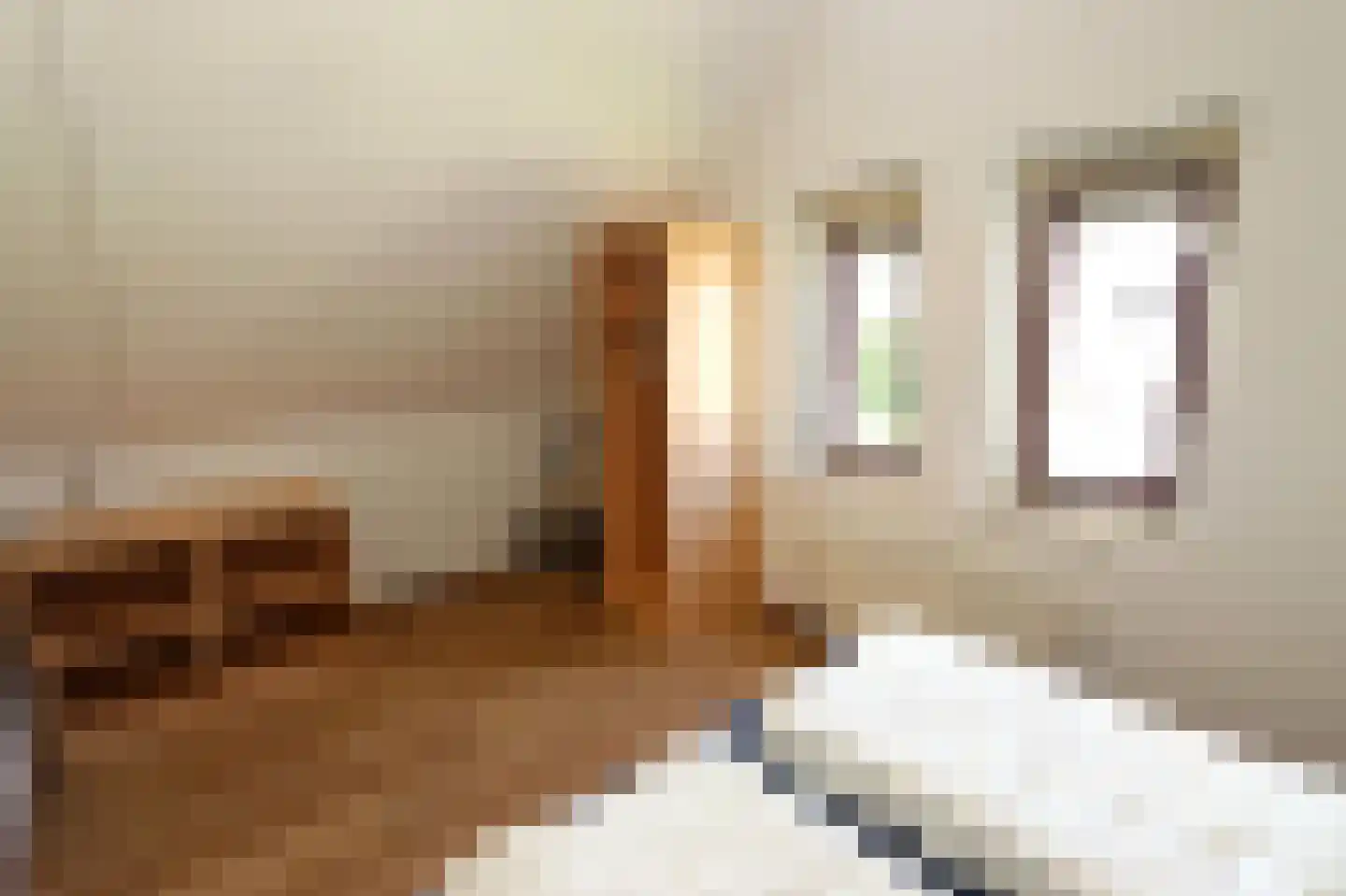 Sandurdreef 5 290 Emmen thumbnail 18