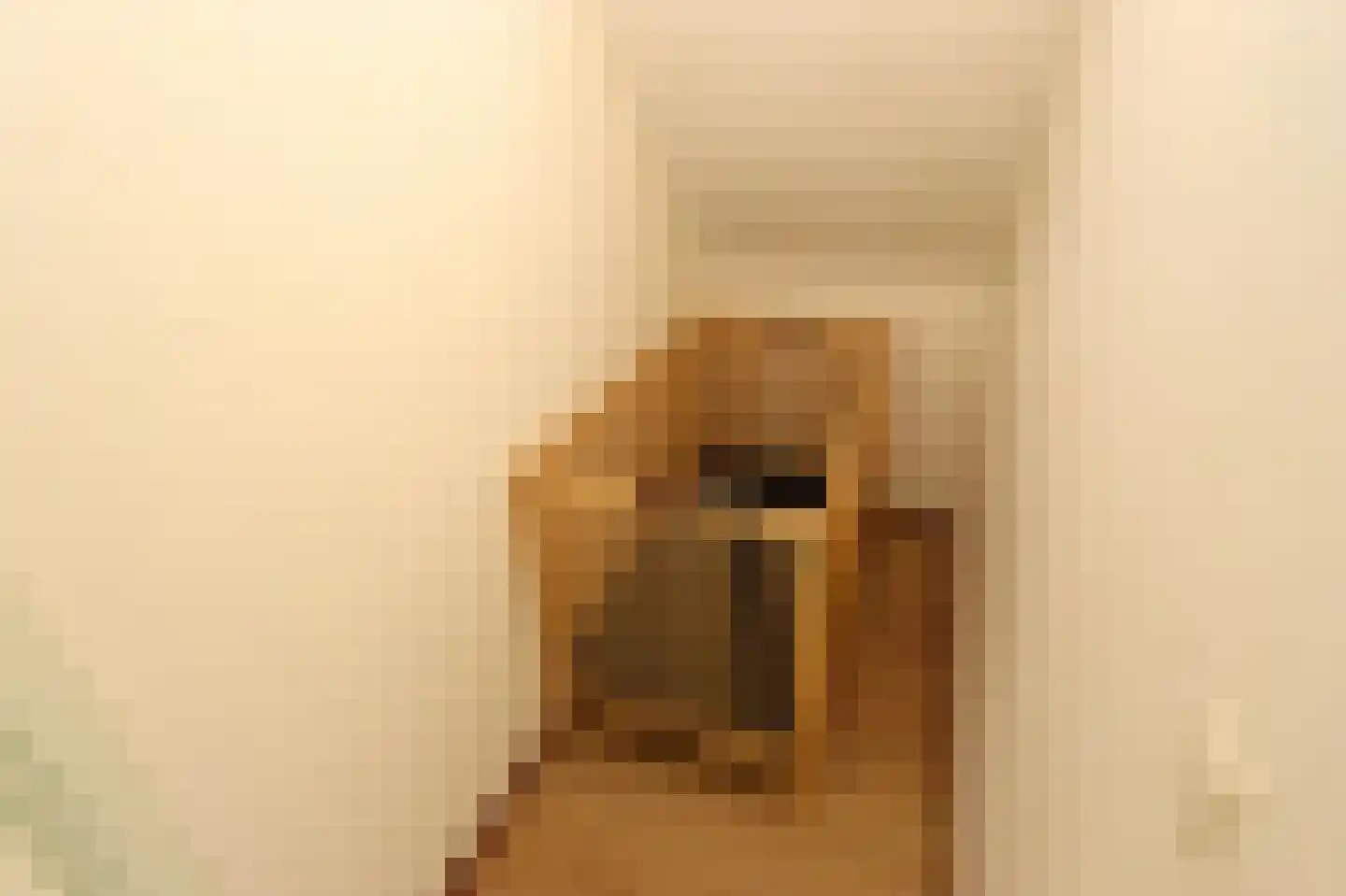 Sandurdreef 5 290 Emmen thumbnail 19