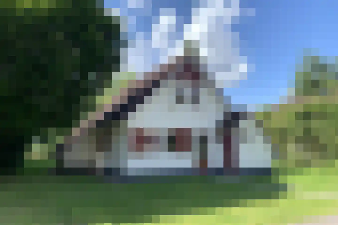 Sandurdreef 5 290 Emmen foto 3