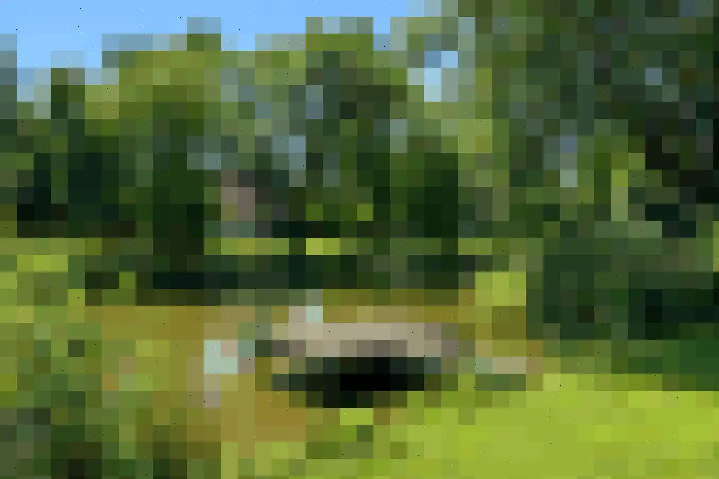 Sandurdreef 5 290 Emmen thumbnail 5