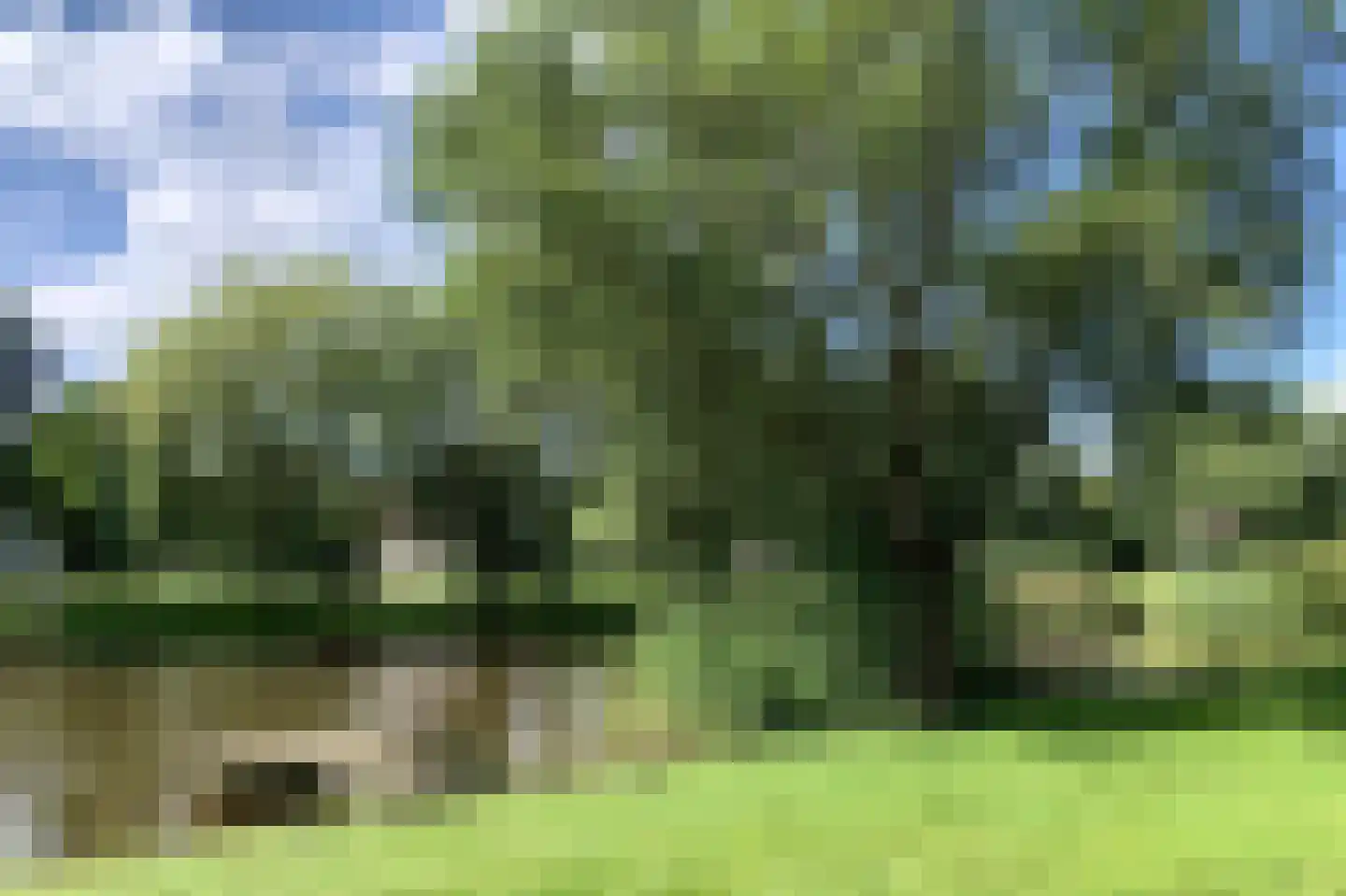 Sandurdreef 5 290 Emmen thumbnail 6