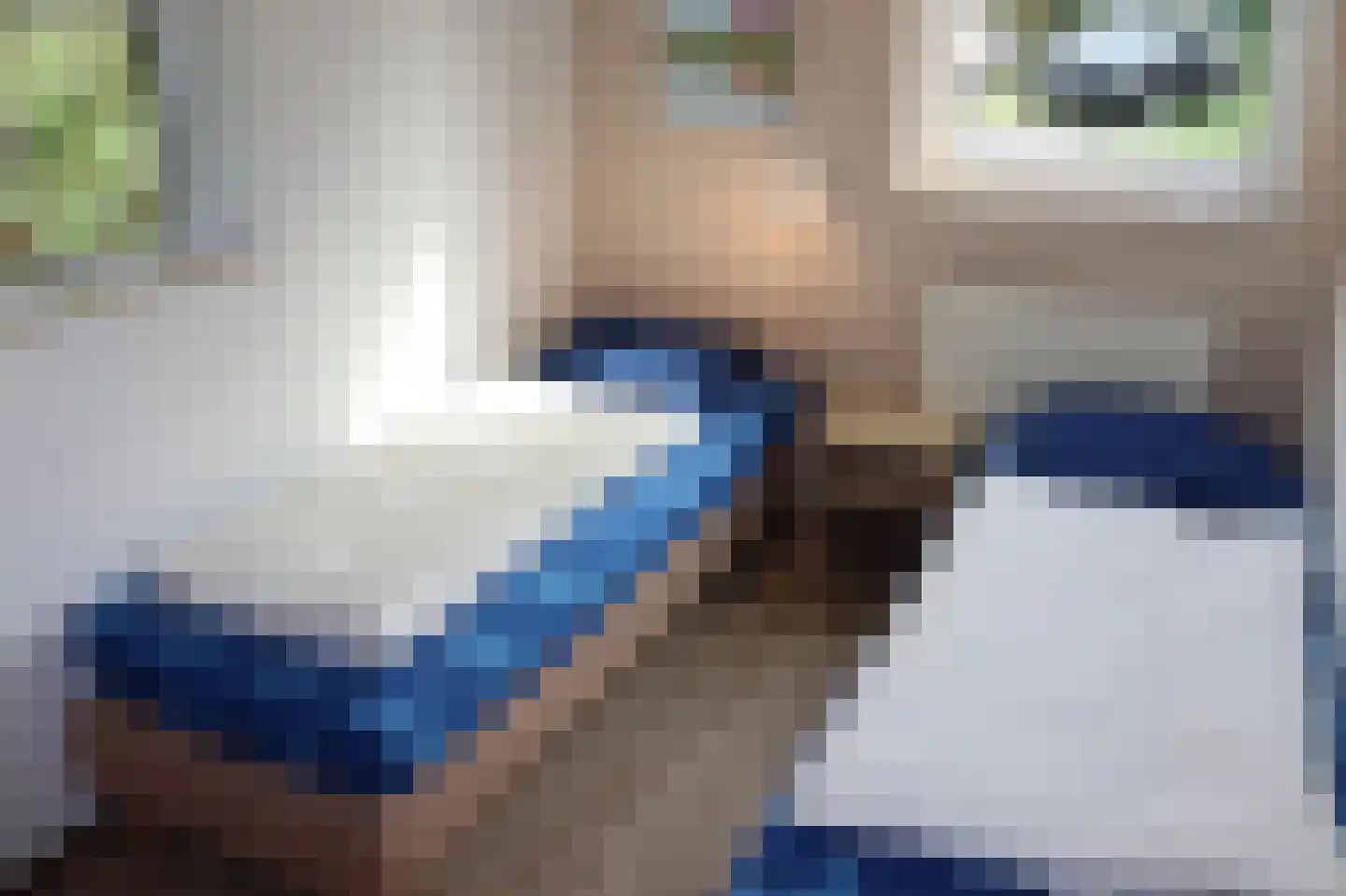 Sandurdreef 5 300 Emmen thumbnail 10