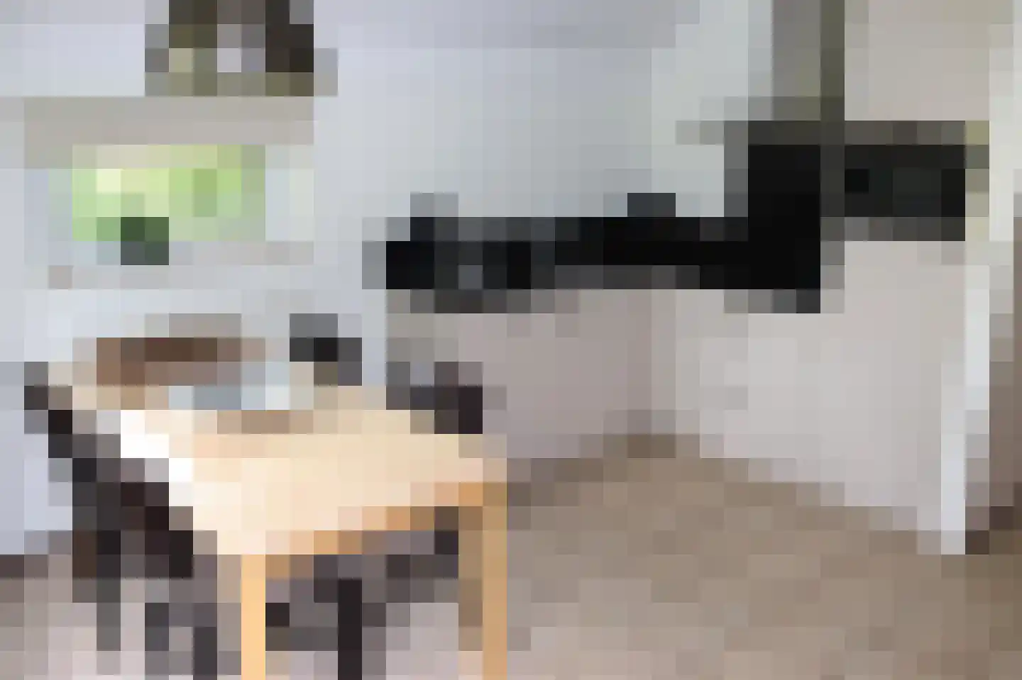Sandurdreef 5 300 Emmen thumbnail 7
