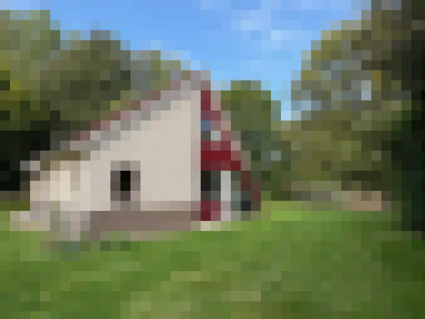Sandurdreef 5 302 Emmen thumbnail 20