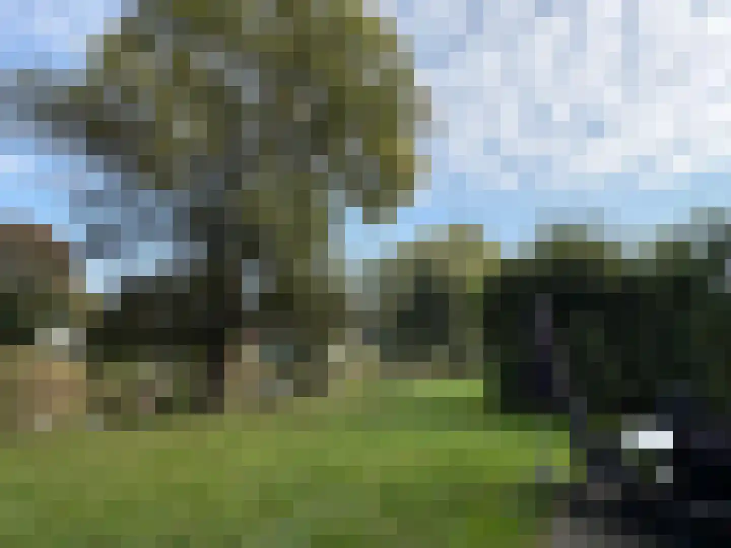 Sandurdreef 5 302 Emmen thumbnail 24