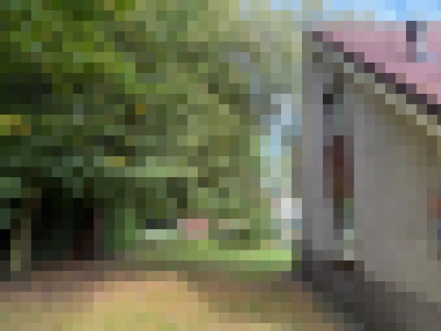 Sandurdreef 5 302 Emmen thumbnail 5