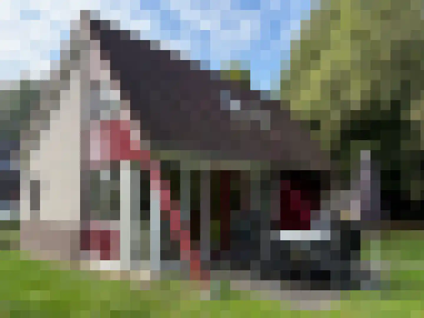 Sandurdreef 5 302 Emmen thumbnail 7