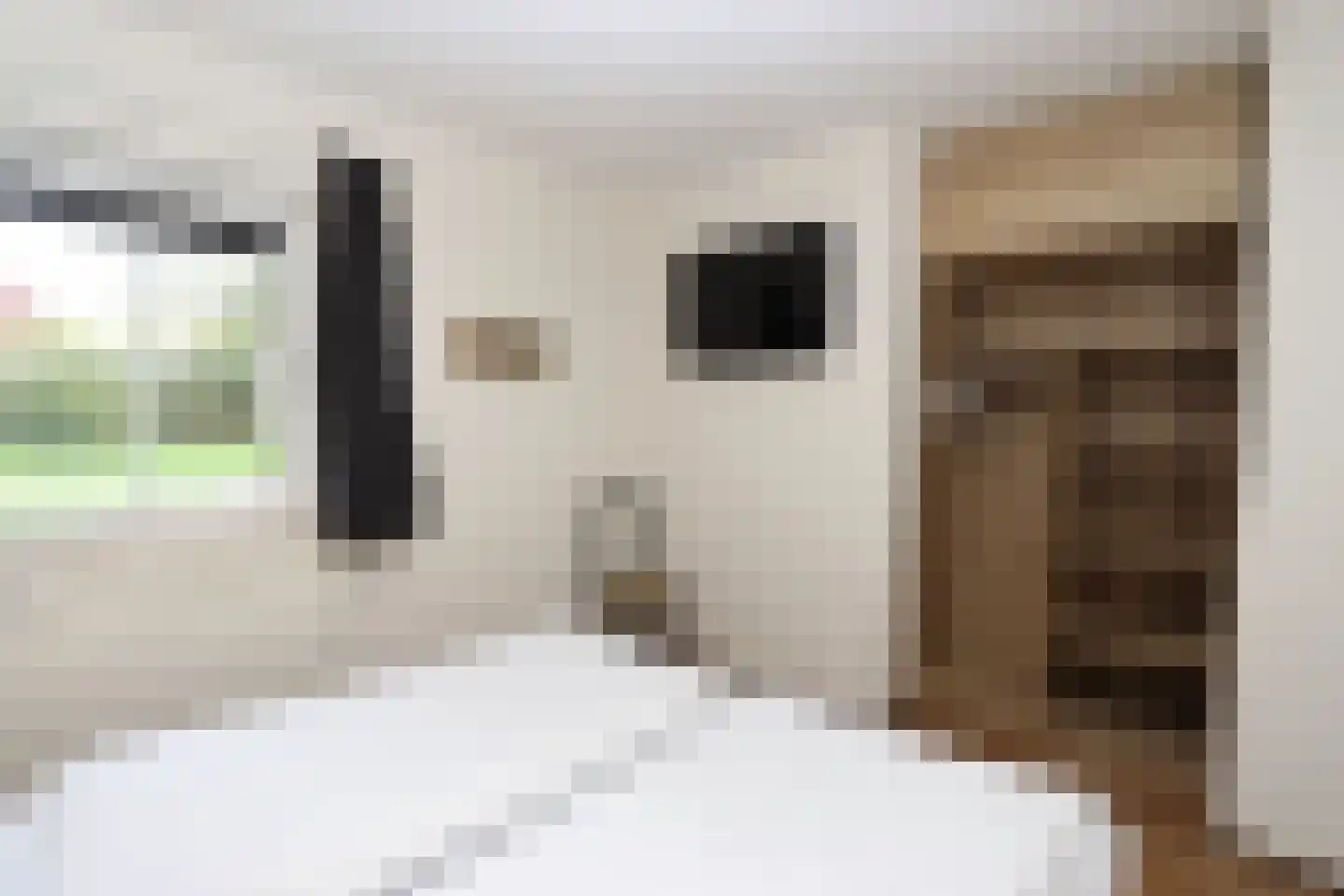 Sandurdreef 5 324 Emmen thumbnail 12