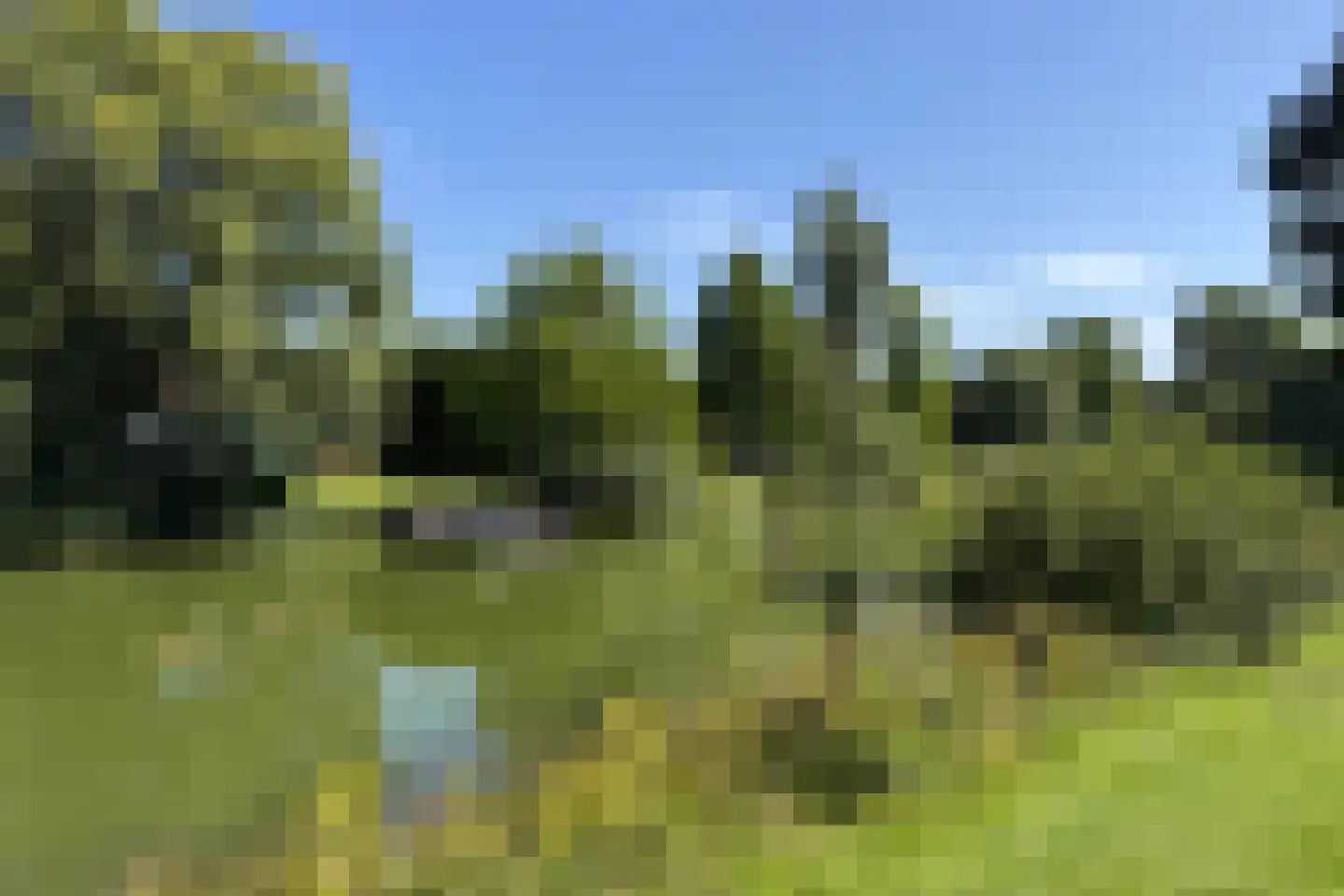 Sandurdreef 5 324 Emmen thumbnail 5