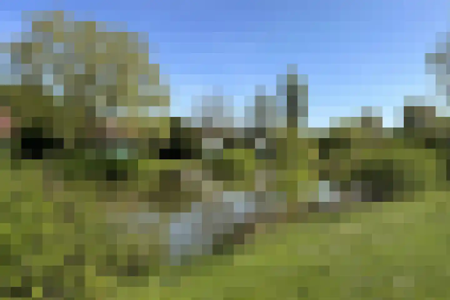 Sandurdreef 5 324 Emmen thumbnail 6