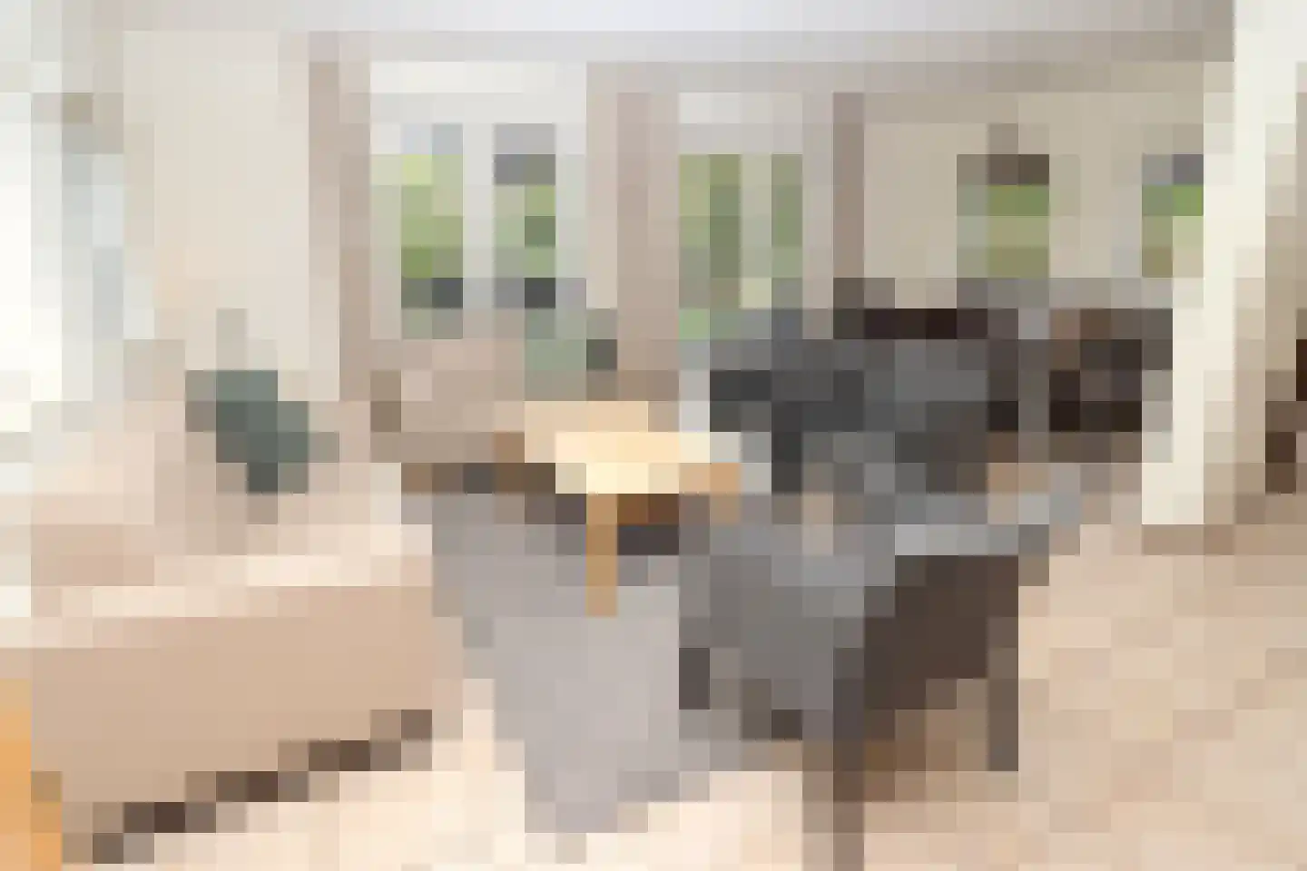 Sandurdreef 5 324 Emmen thumbnail 8