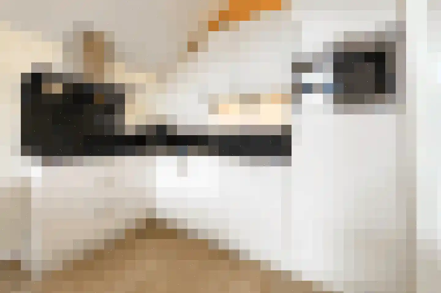 Sandurdreef 5 331 Emmen thumbnail 10
