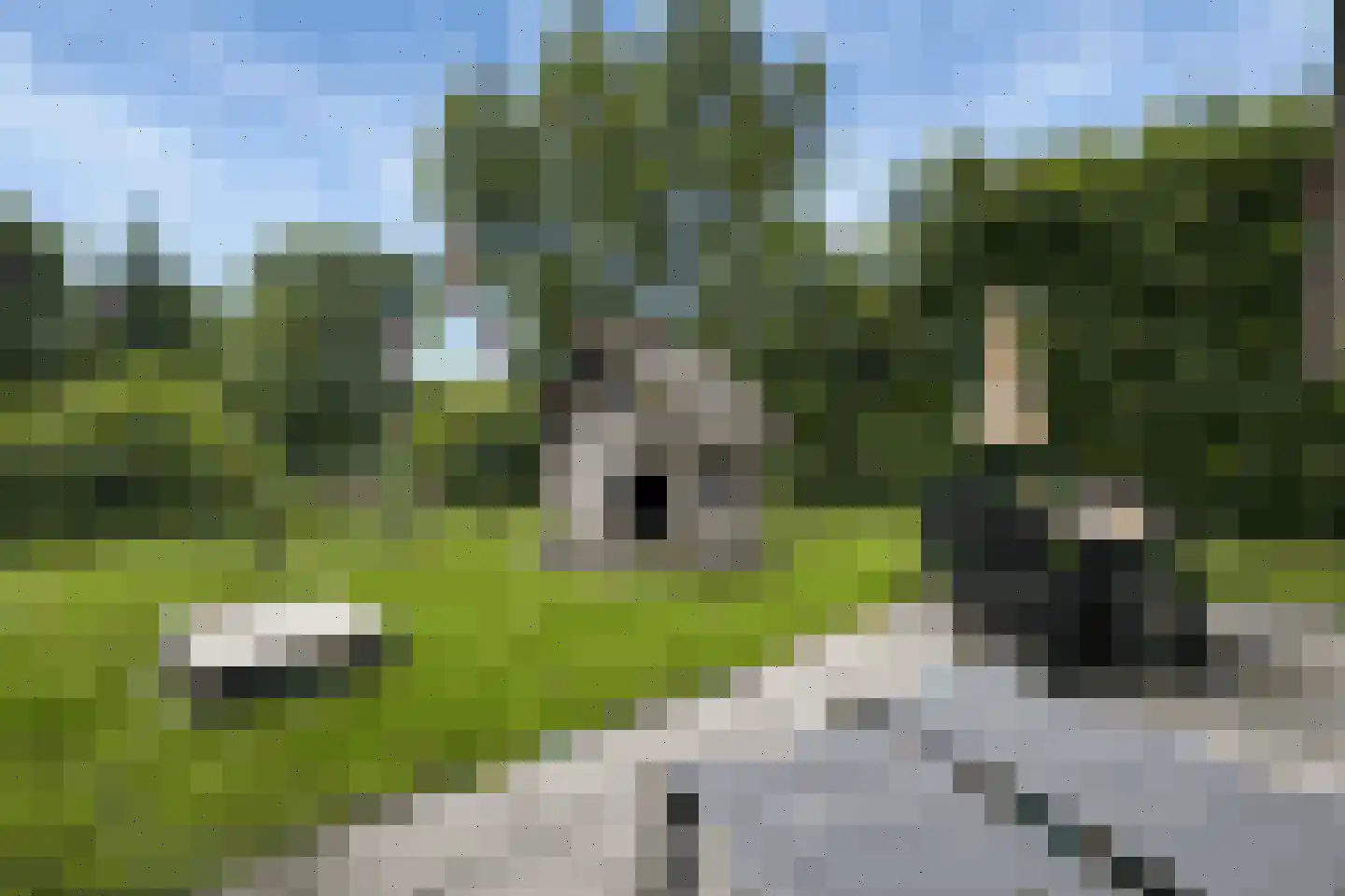 Sandurdreef 5 331 Emmen thumbnail 5