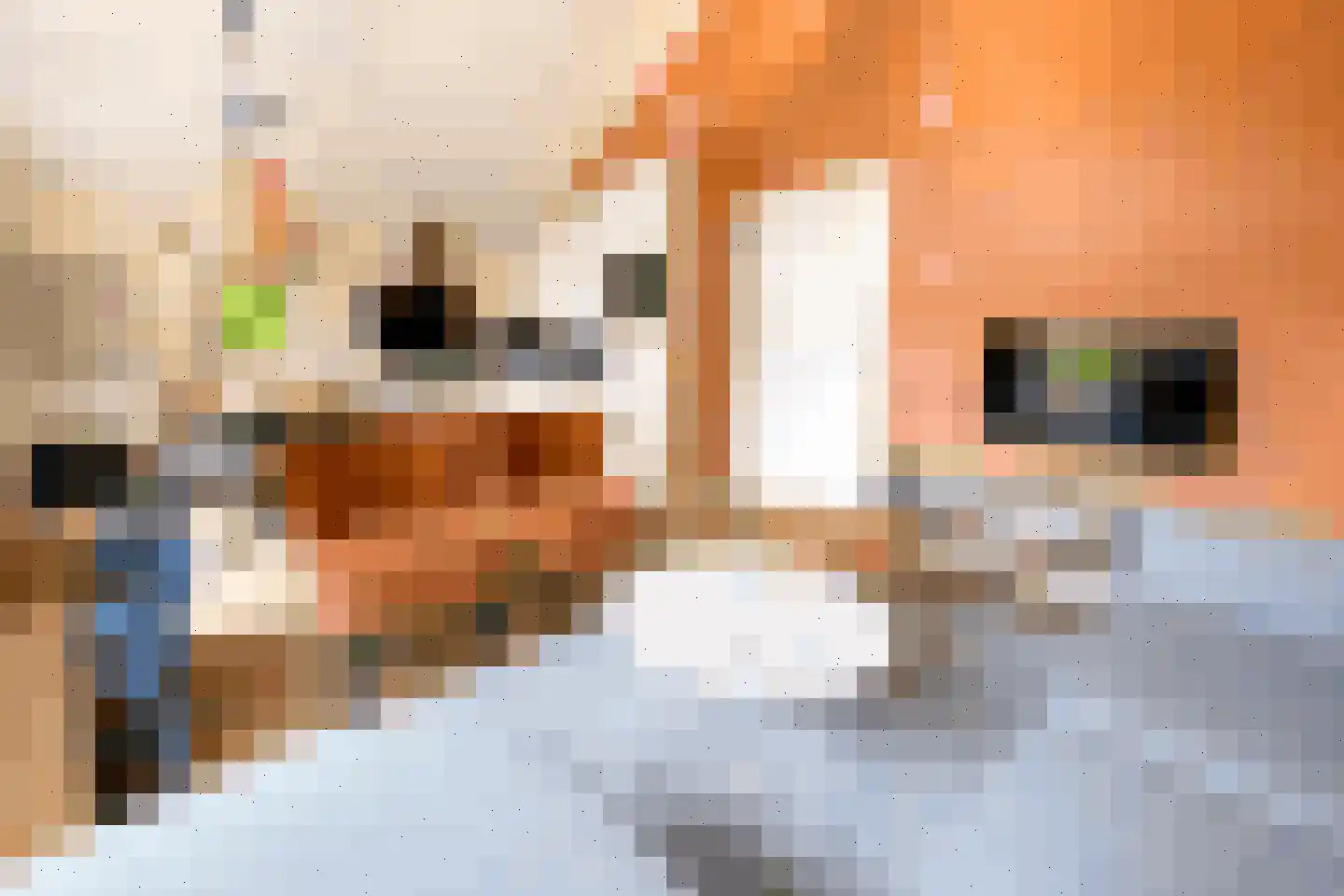 Sandurdreef 5 331 Emmen thumbnail 6