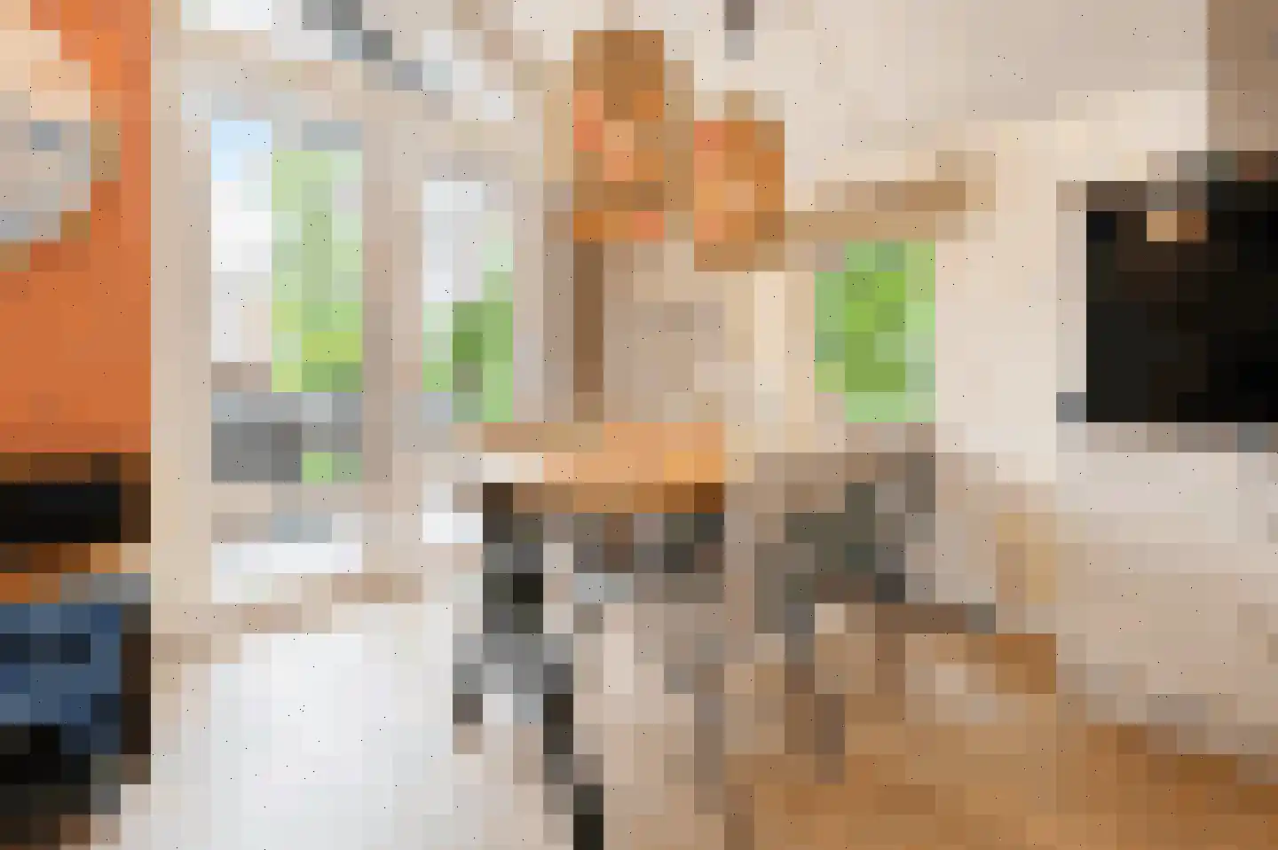 Sandurdreef 5 331 Emmen thumbnail 9