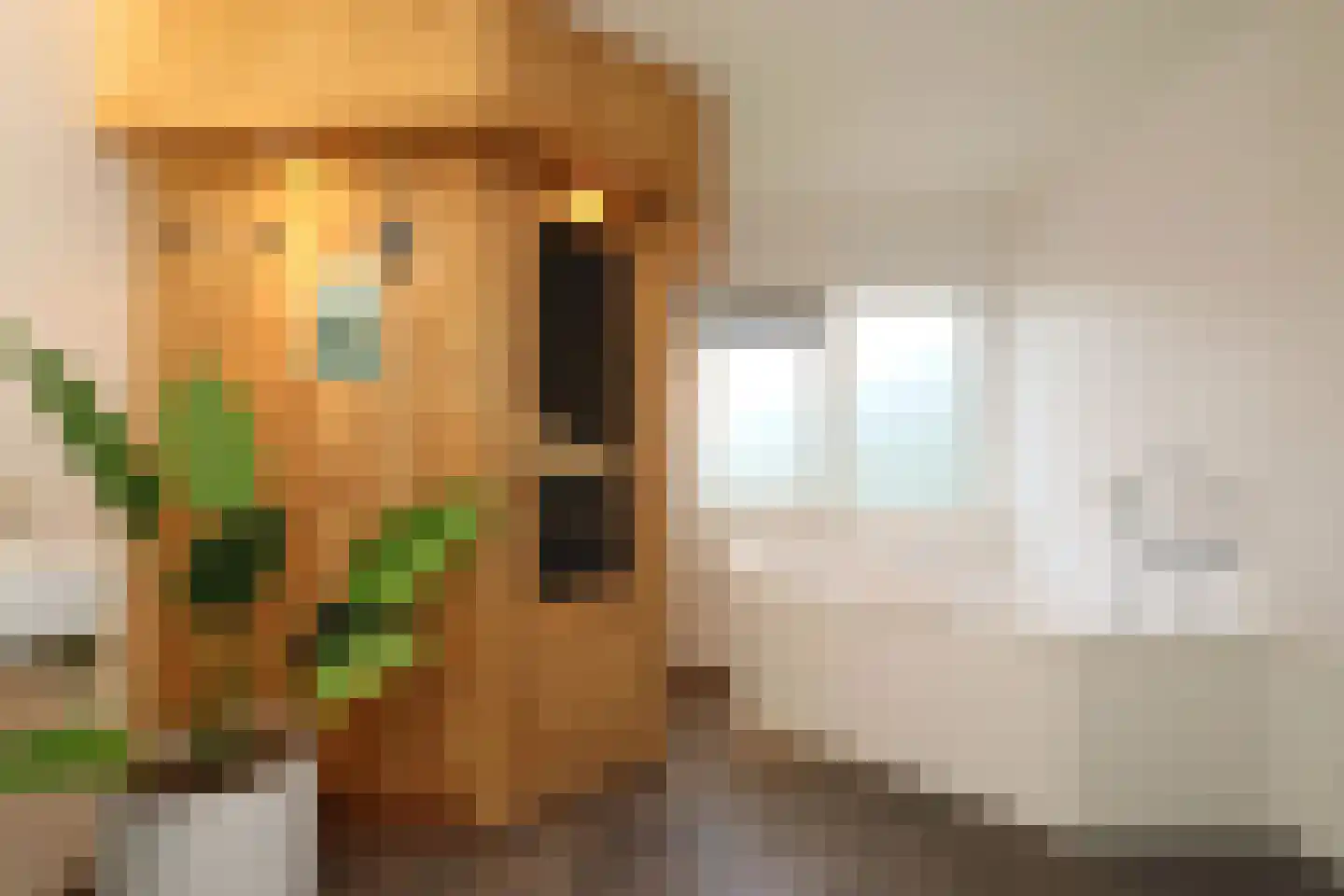 Sandurdreef 5 355 Emmen thumbnail 11