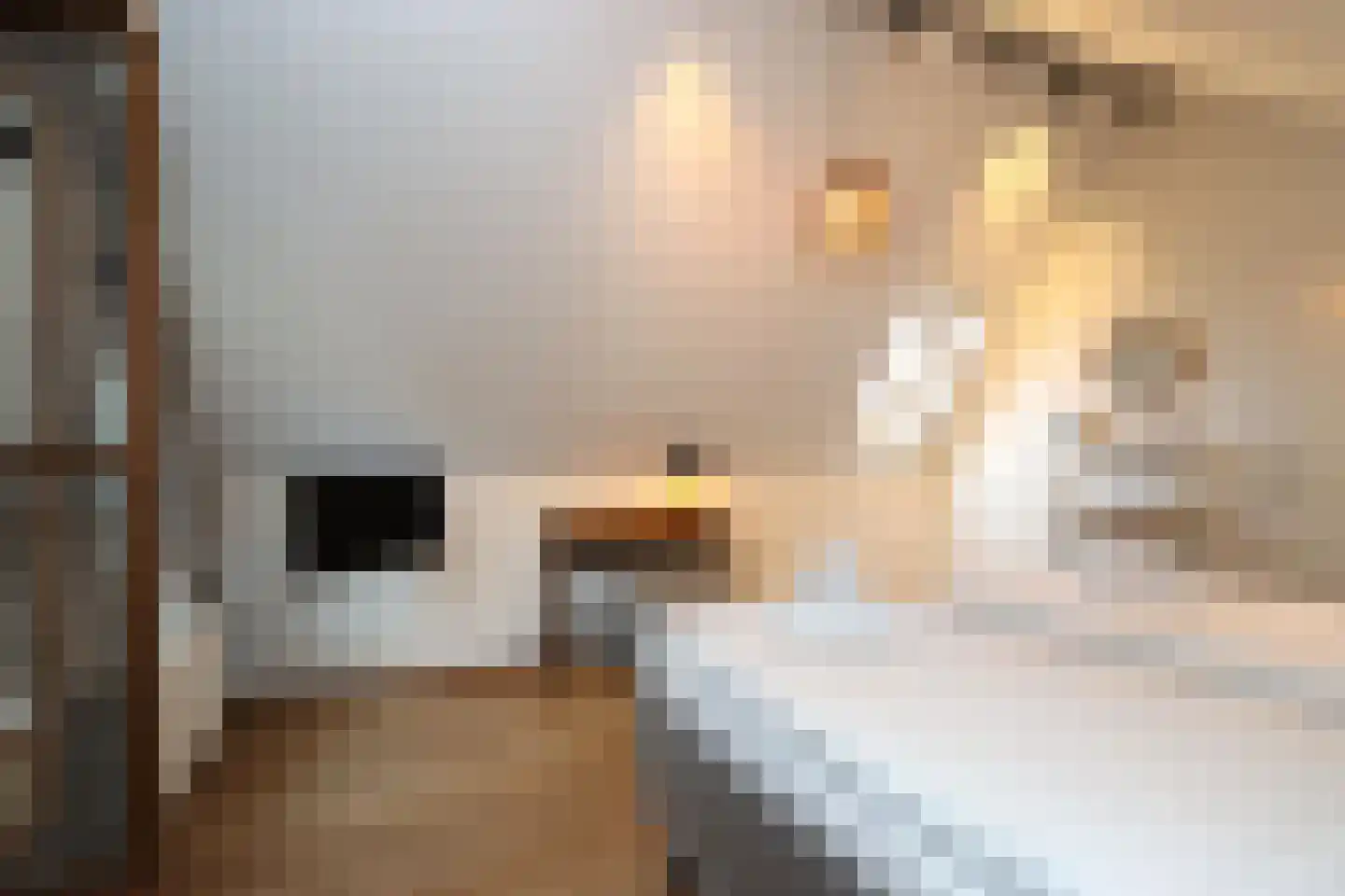 Sandurdreef 5 355 Emmen thumbnail 16